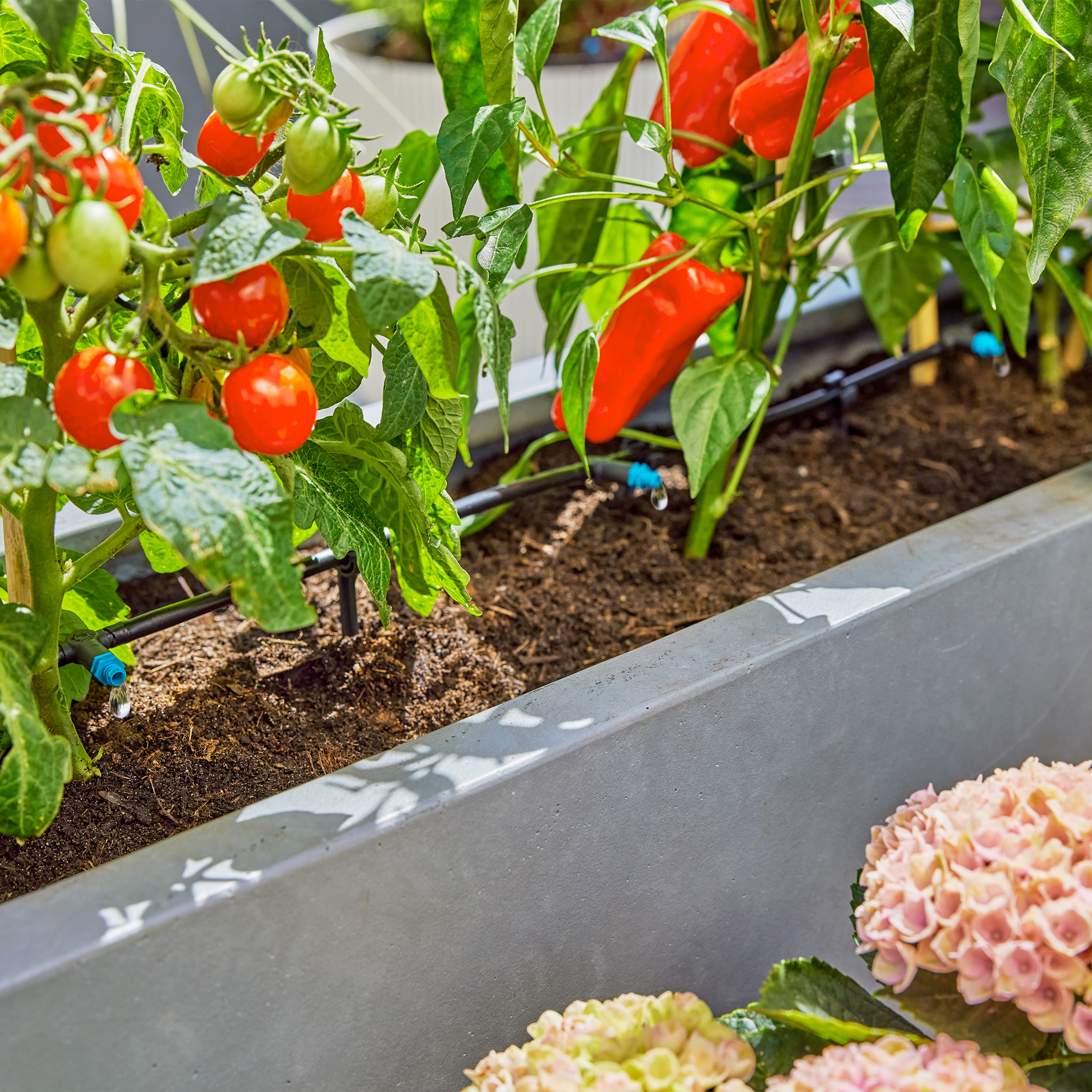 Micro-Drip Gardena Premiumpaket För Terrass med Vattenfördelare & Bevattningsdator