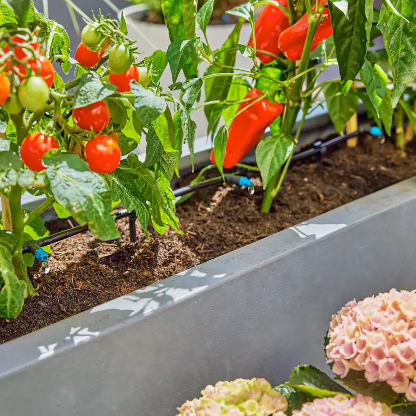 Micro-Drip Gardena Premiumpaket För Terrass med Vattenfördelare & Bevattningsdator