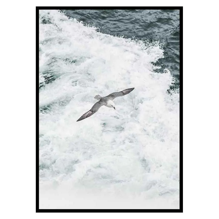 Poster Gallerix Grey Seagull
