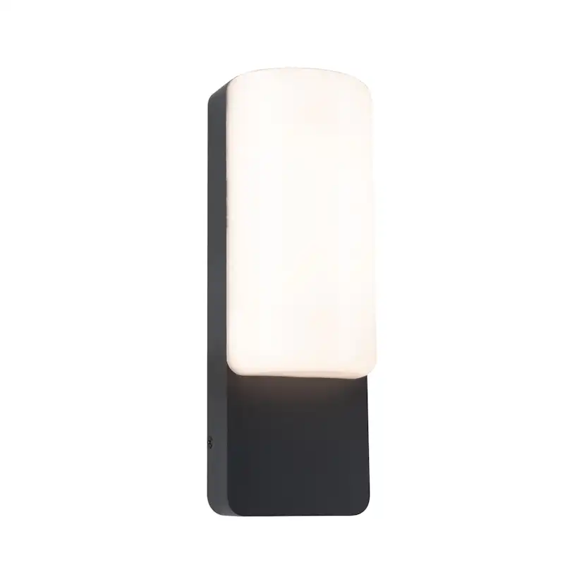 Fasadbelysning LED Paulmann Bonnie med Skymningsstyrd rörelsedetektor IP44 230V