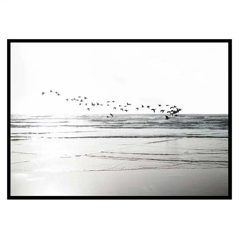 Poster Gallerix Birds Over Beach