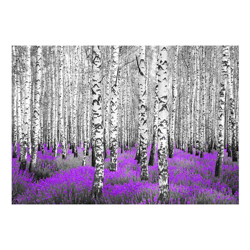 Fototapet Arkiio Purple Asylum