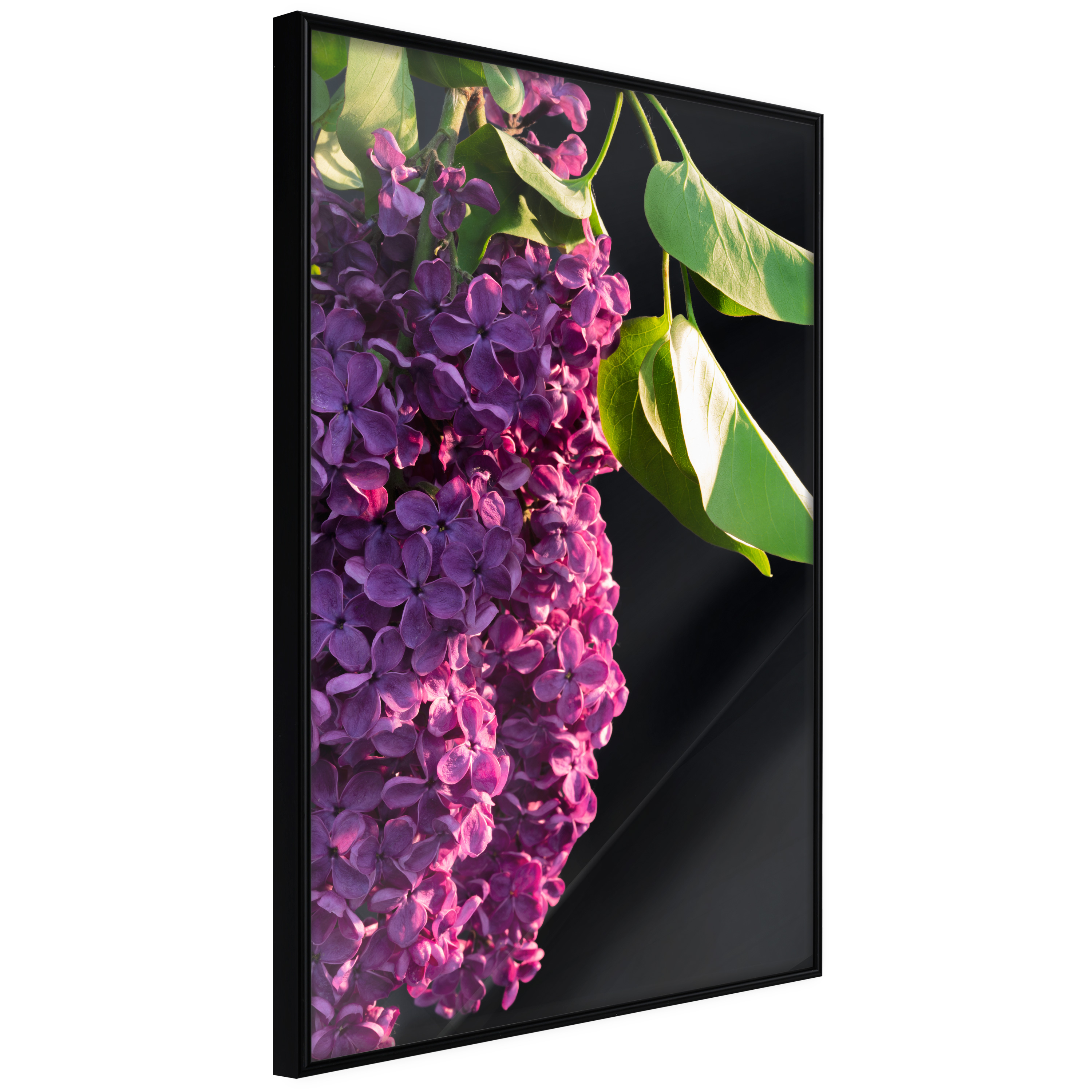 Affisch - Colours of Spring [Poster] 20x30 Svart ram, 20x30 cm