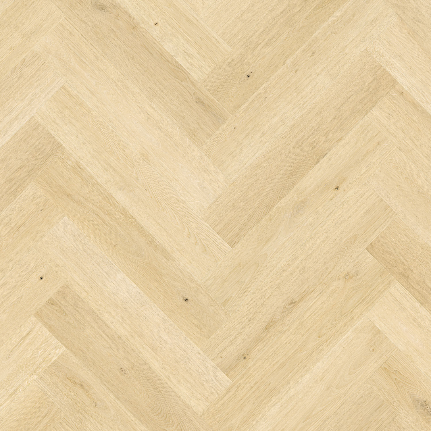 Laminatgolv Pergo Kungshamn Ivory Oak