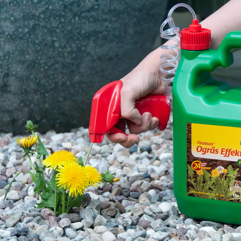 Ogräsbekämpning Neudorff Effekt Spray 3L för Trädgård