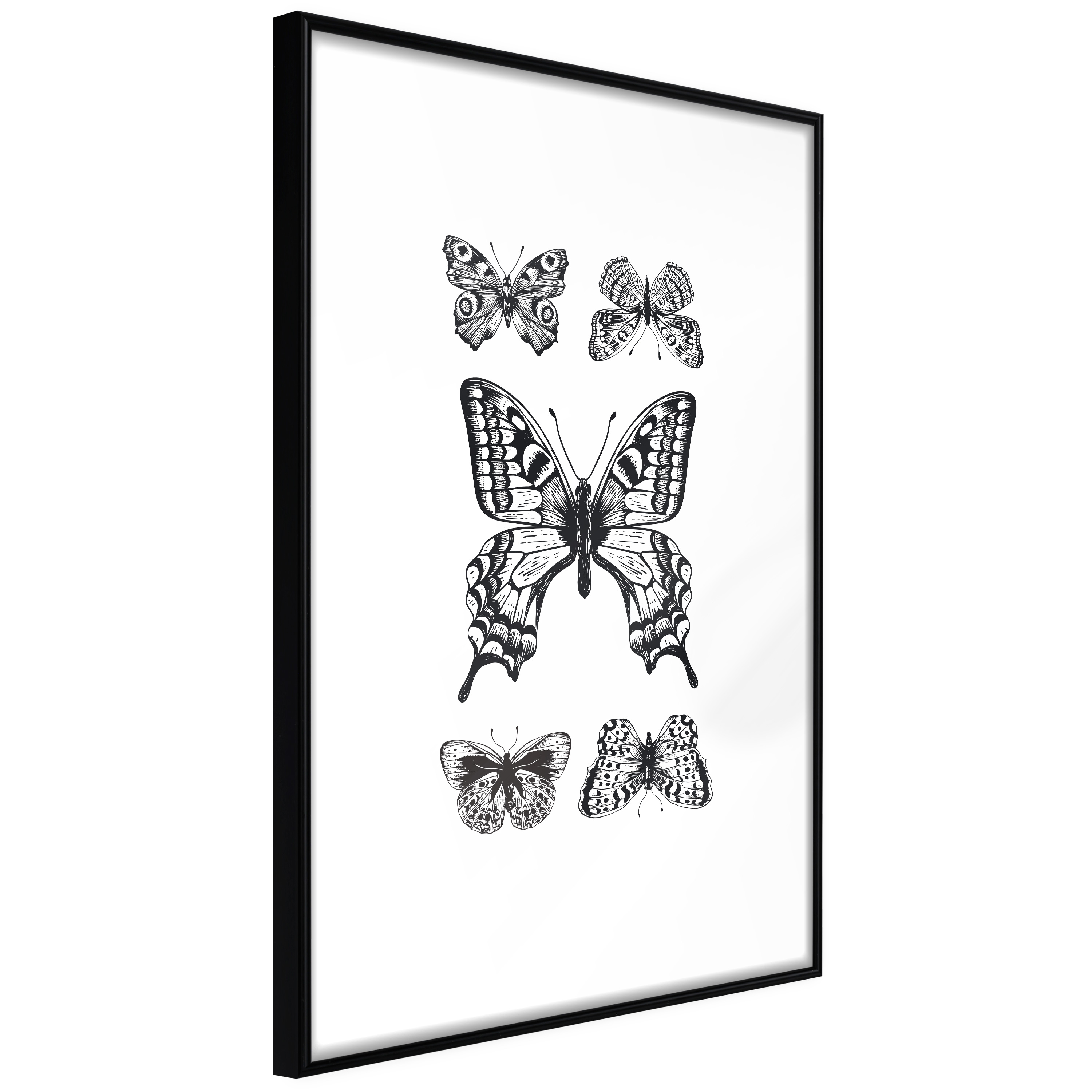 Affisch - Five Butterflies [Poster] 20x30 Svart ram, 20x30 cm