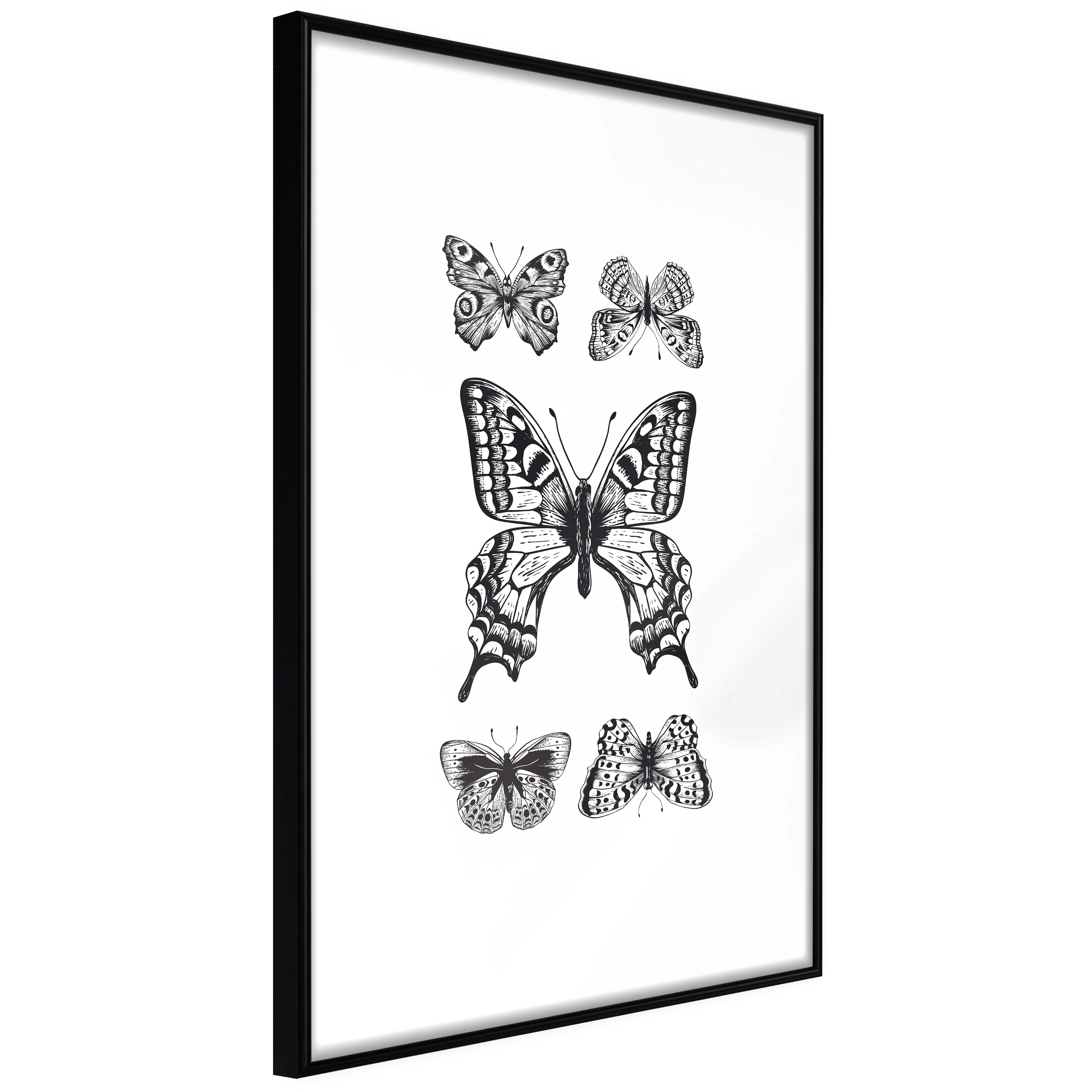 Affisch - Five Butterflies [Poster] 40x60 Svart ram, 40x60 cm