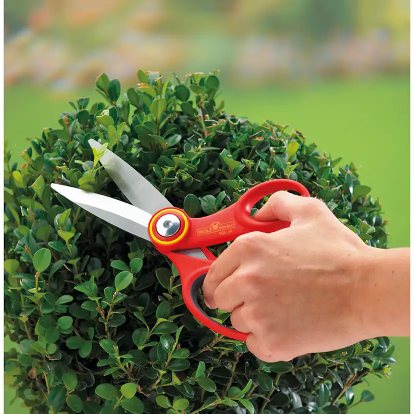 Universalsax WOLF-Garten RA-X