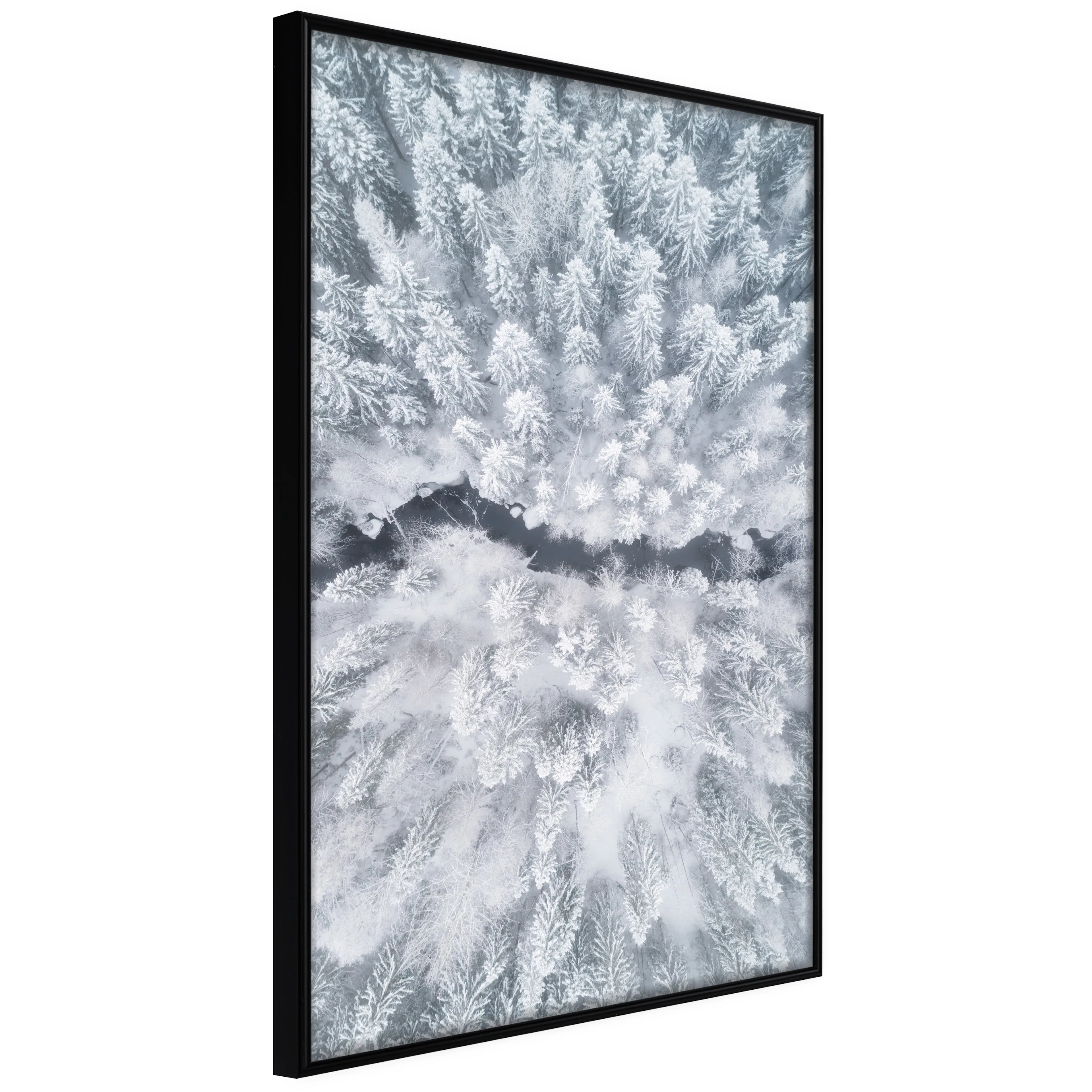 Affisch - Tree Crowns [Poster] 40x60 Svart ram, 40x60 cm
