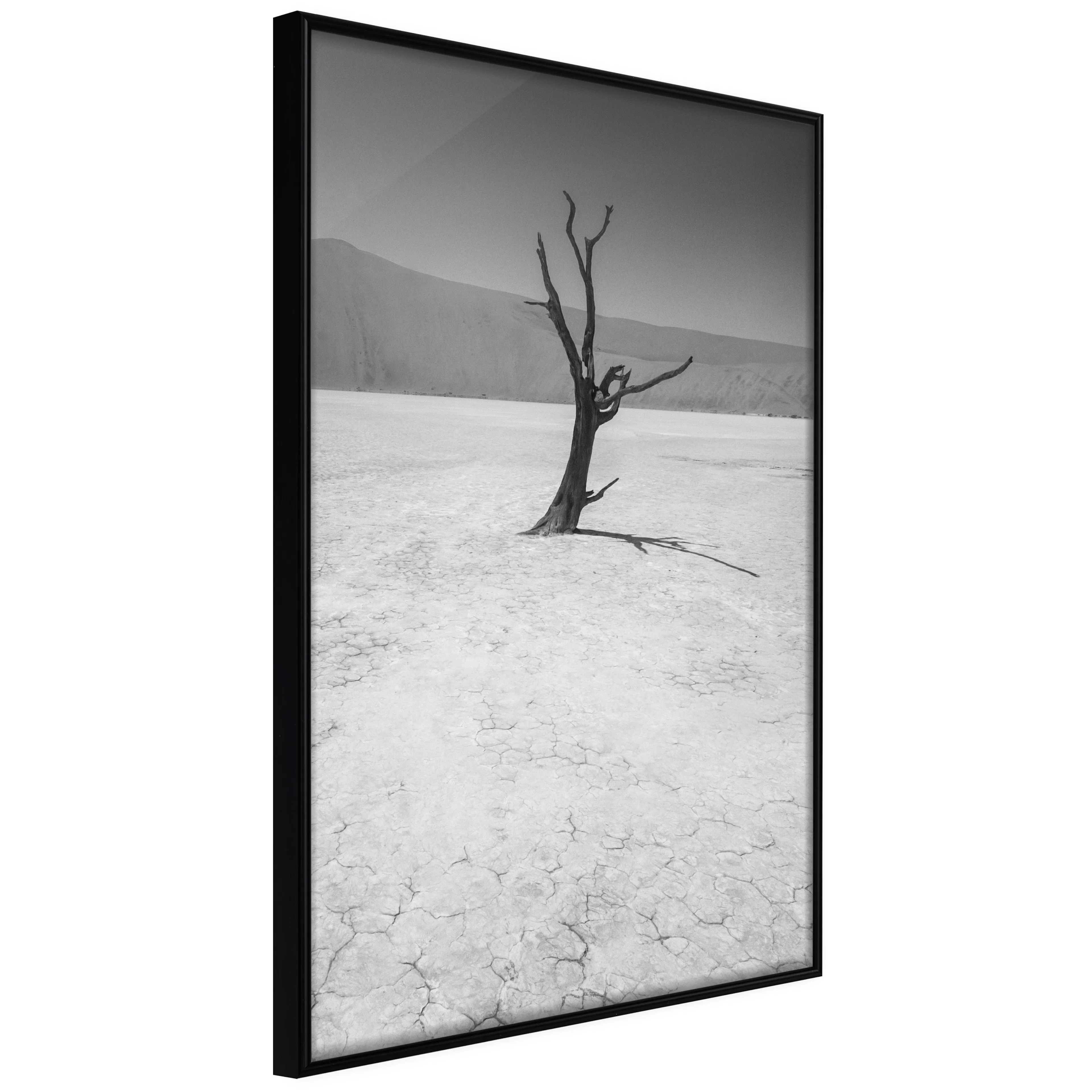 Affisch - Tree in the Desert [Poster] 40x60 Svart ram, 40x60 cm