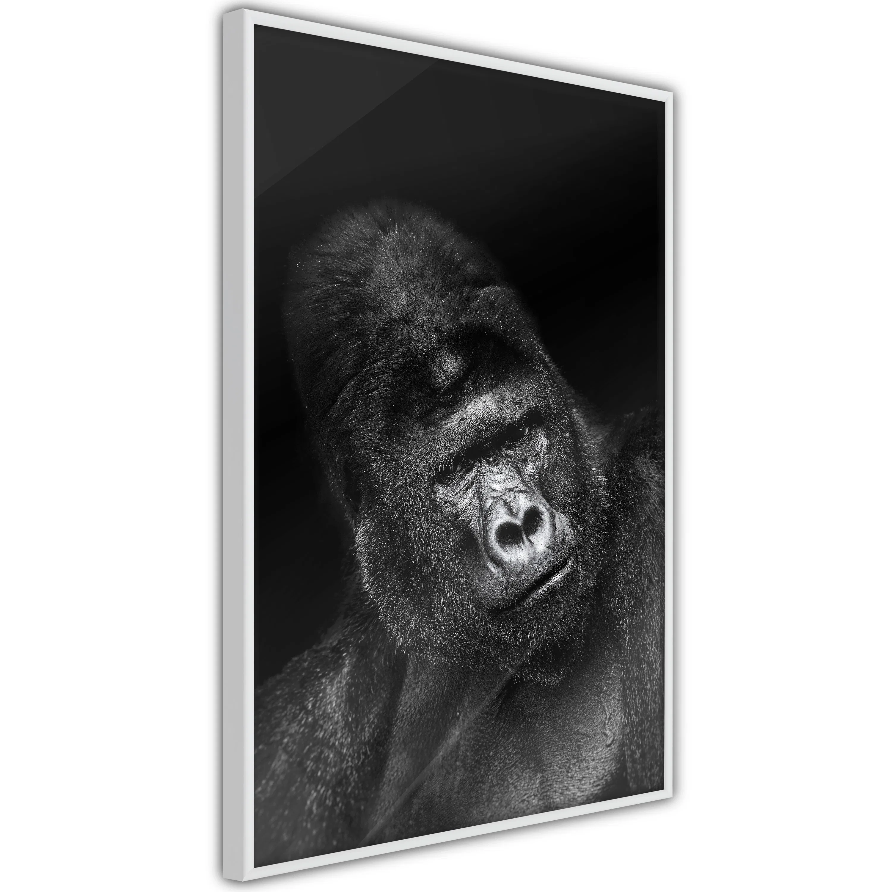 Poster Artgeist Affisch Gorilla