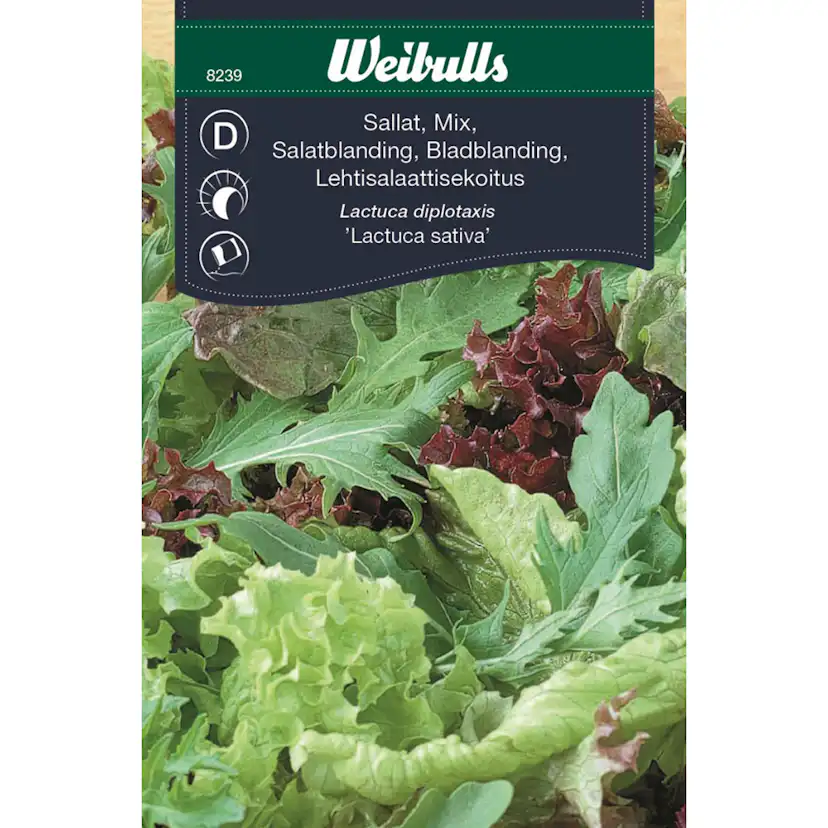 Frö Sallat Weibulls Baby Leaf Mix