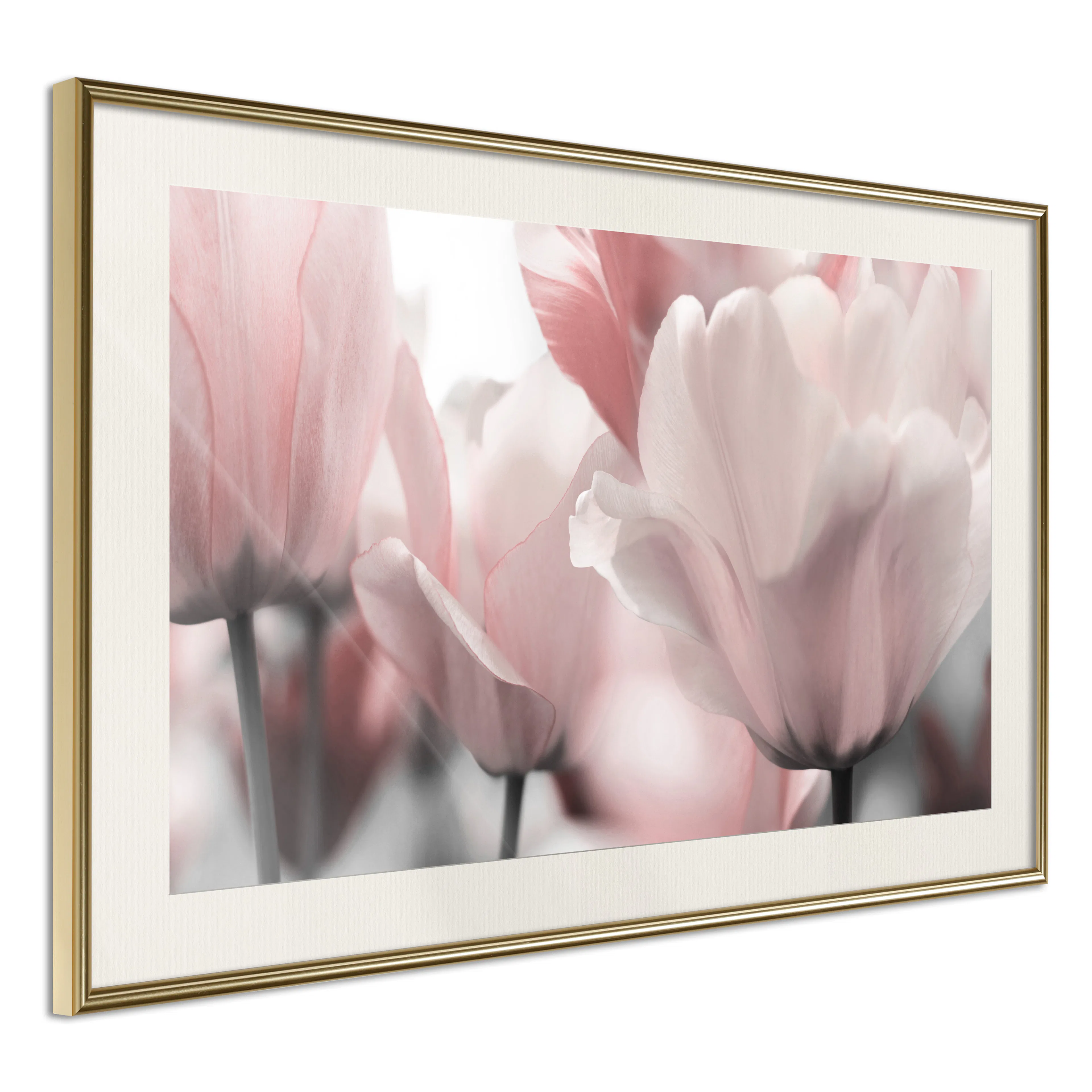 Poster Artgeist Affisch Fabulous Tulips