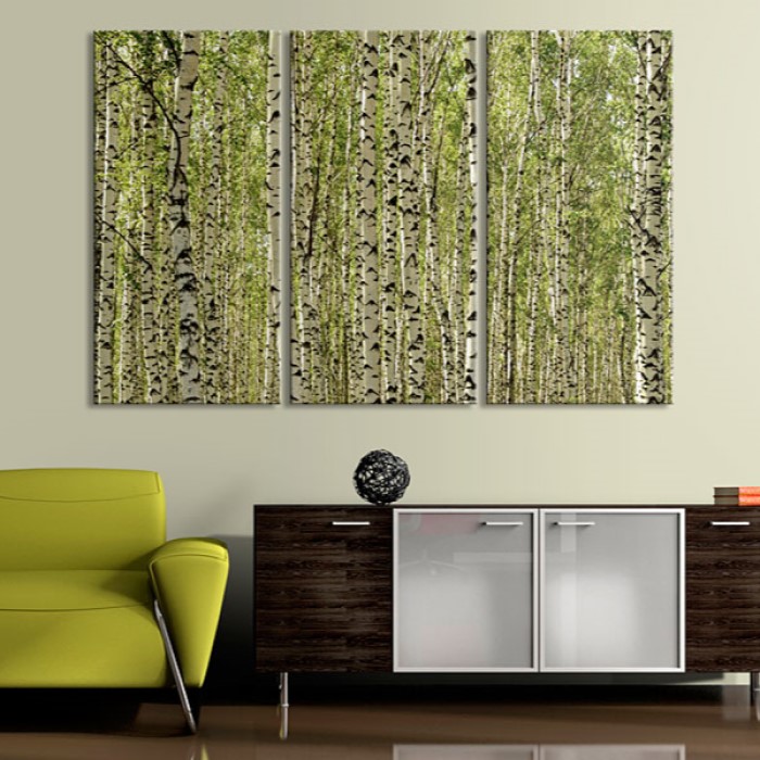 Tavla Arkiio A Forest Of Birch Trees
