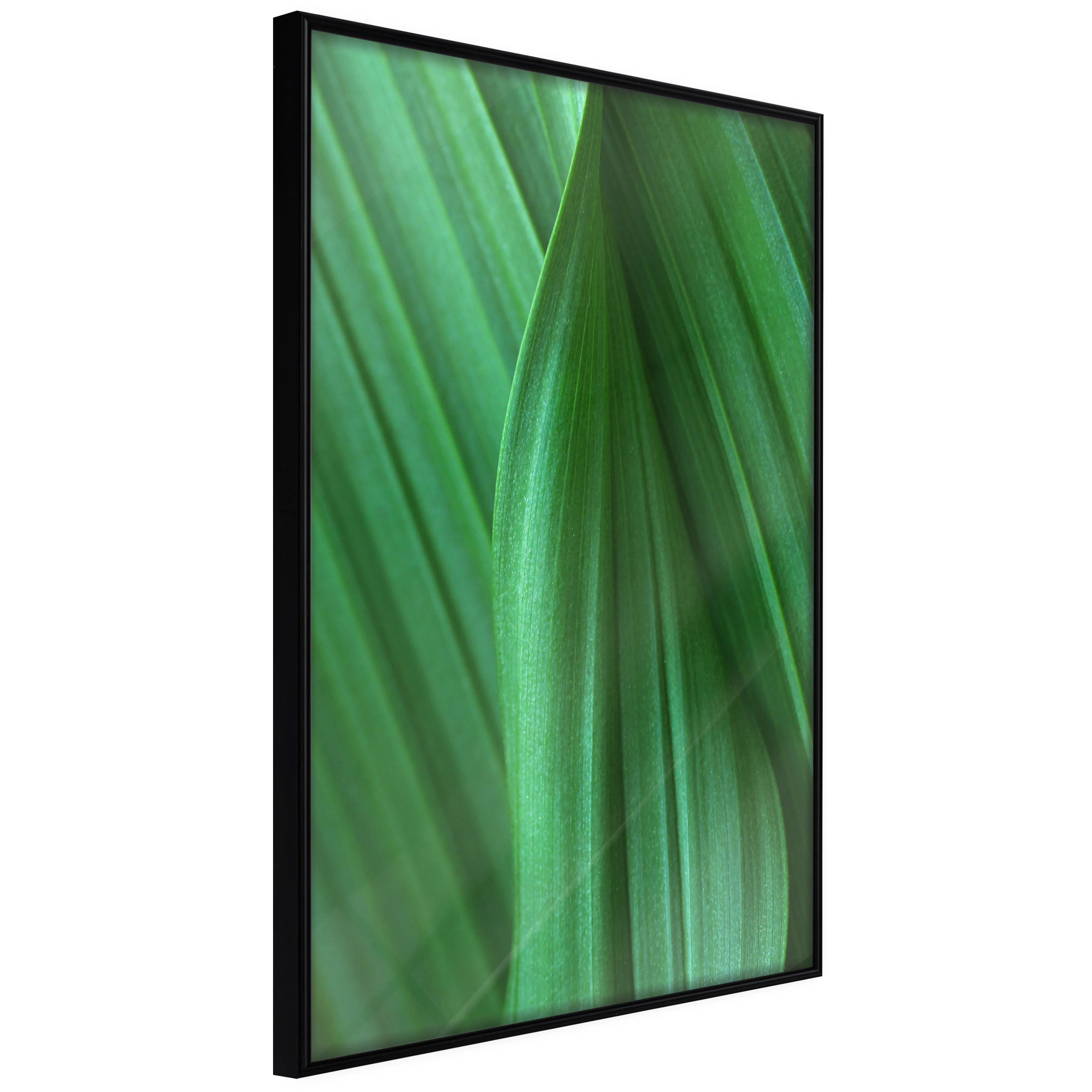 Affisch - Leaf Texture [Poster] 40x60 Svart ram, 40x60 cm