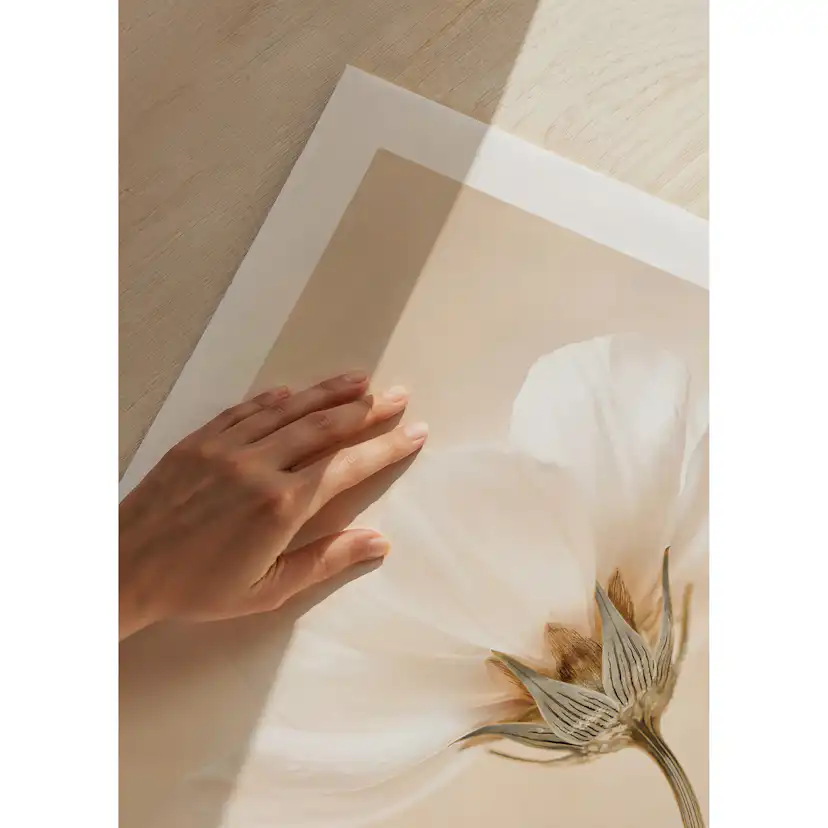 Poster Gallerix Spring Flowers No1