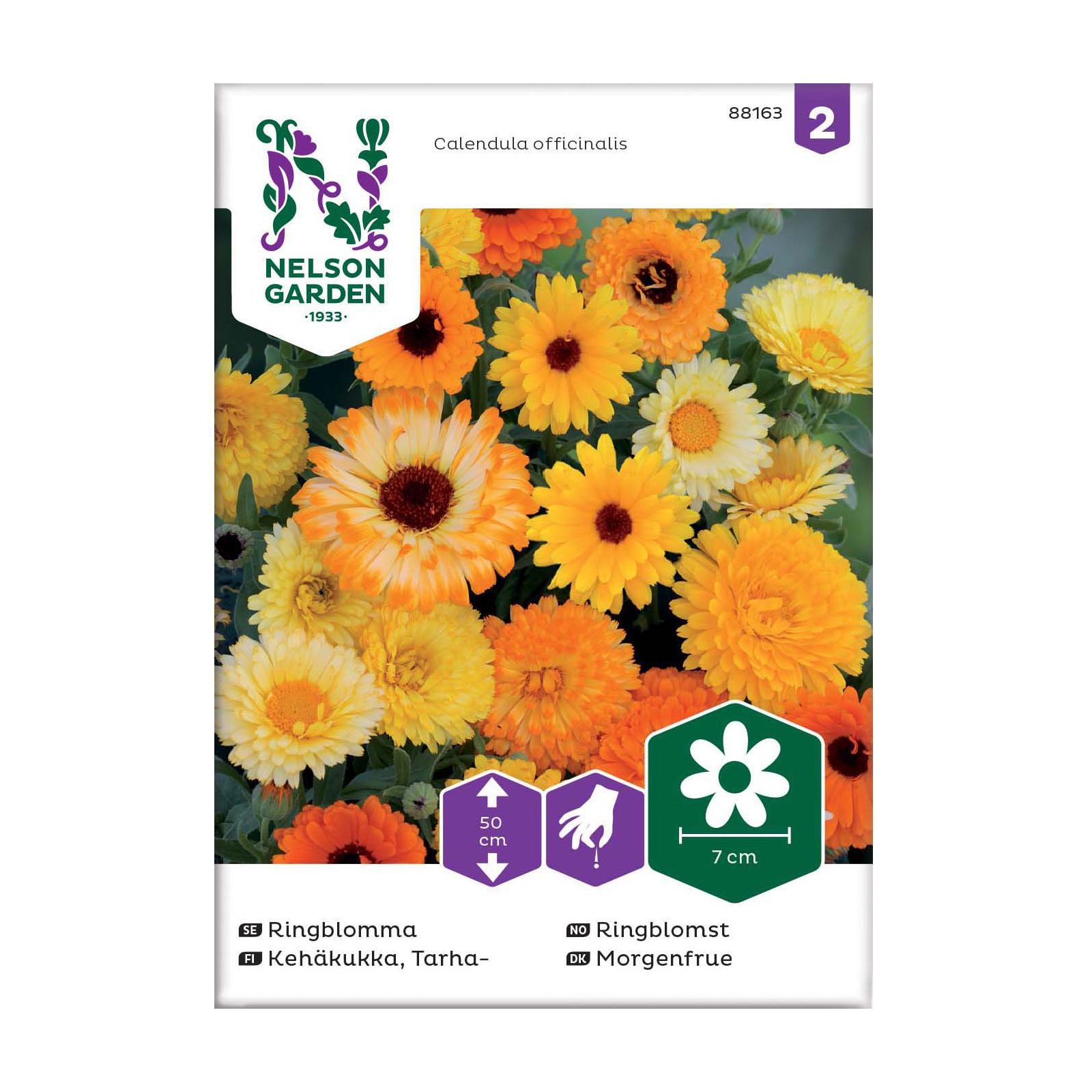 Frö Ringblomma Nelson Garden Mix