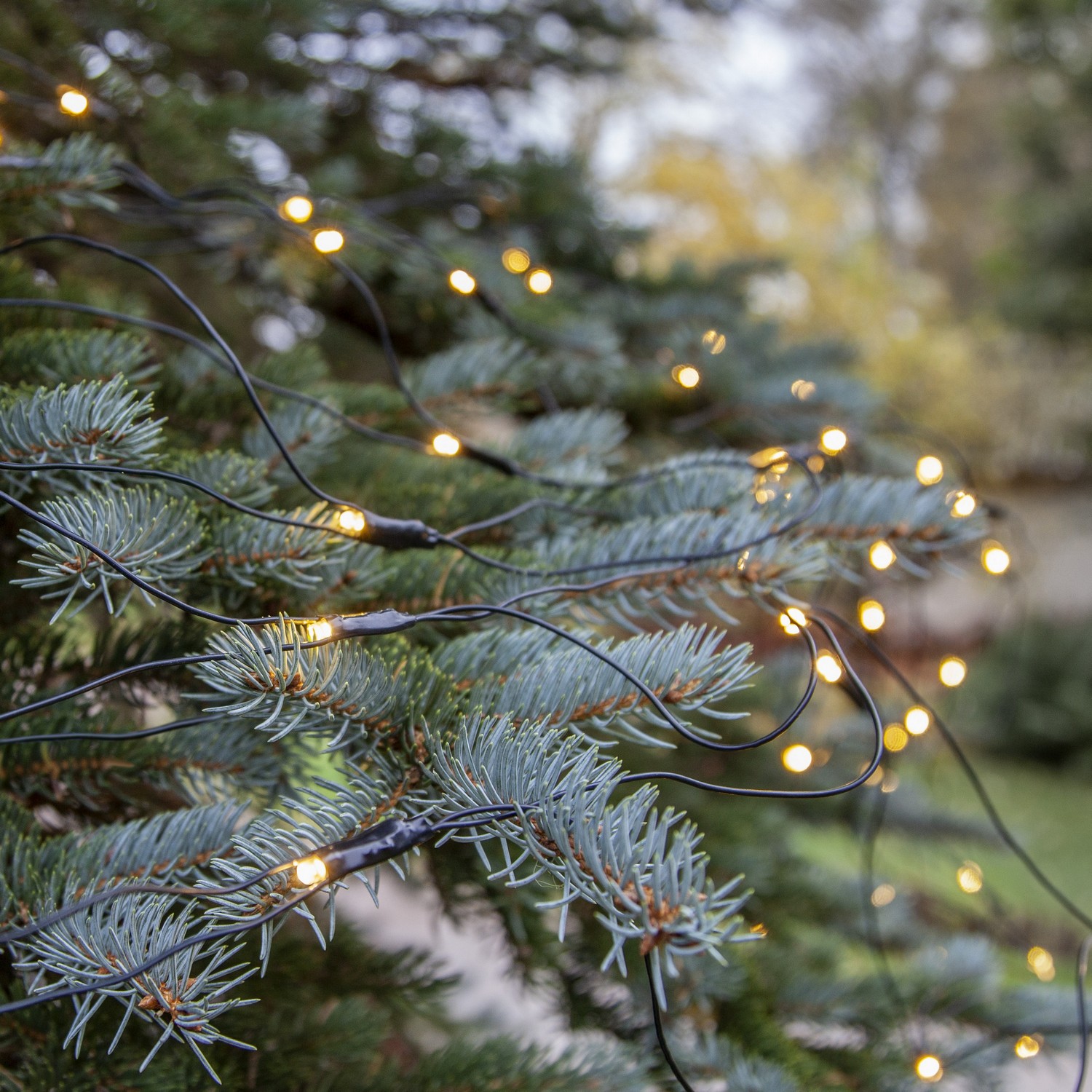 Ljusnät Star Trading Extra System Decor 100L