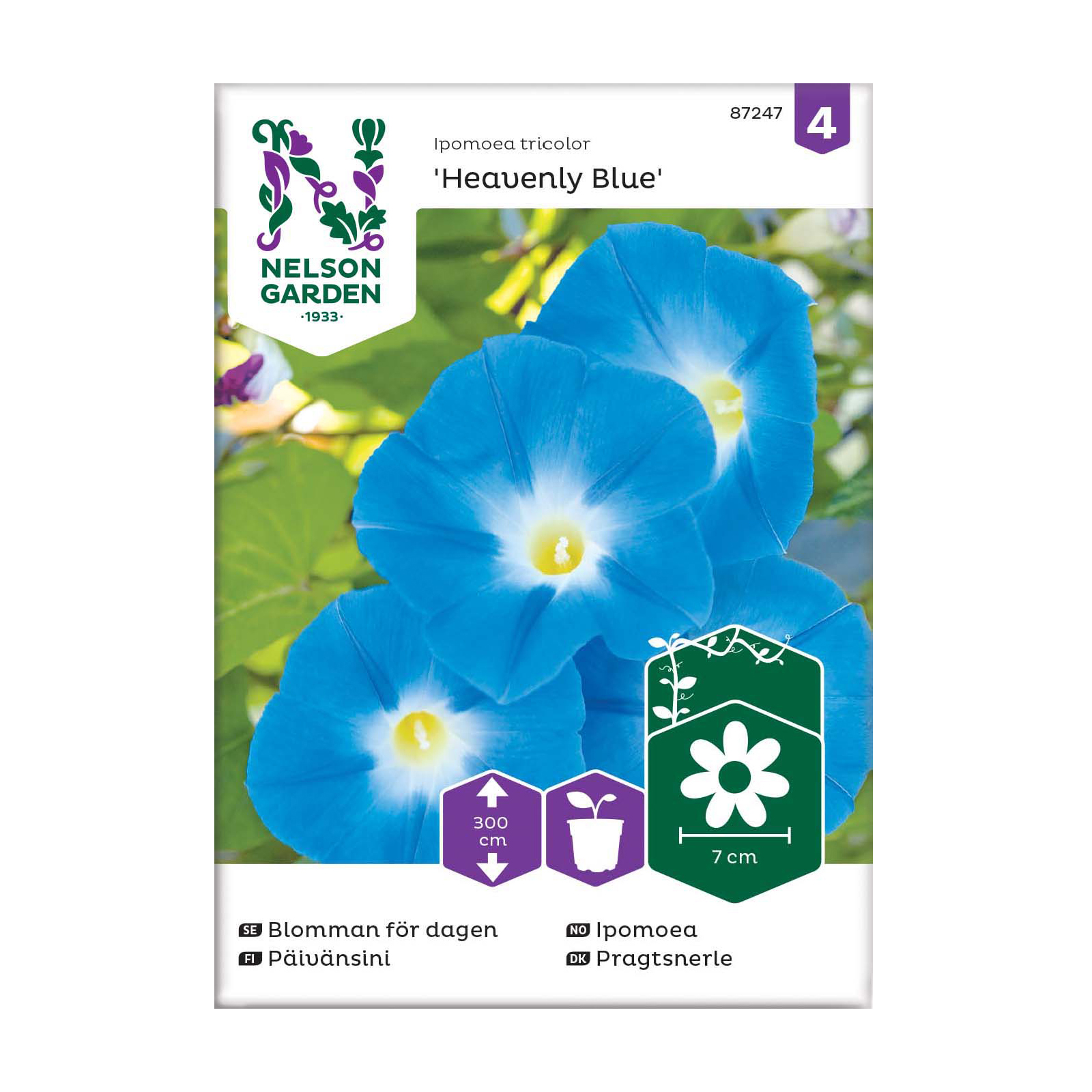 Frö Blomman för dagen Nelson Garden Heavenly Blue