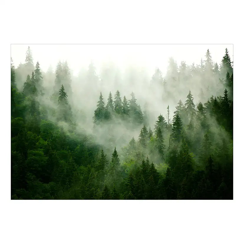 Fototapet Arkiio Mountain Forest (Green)