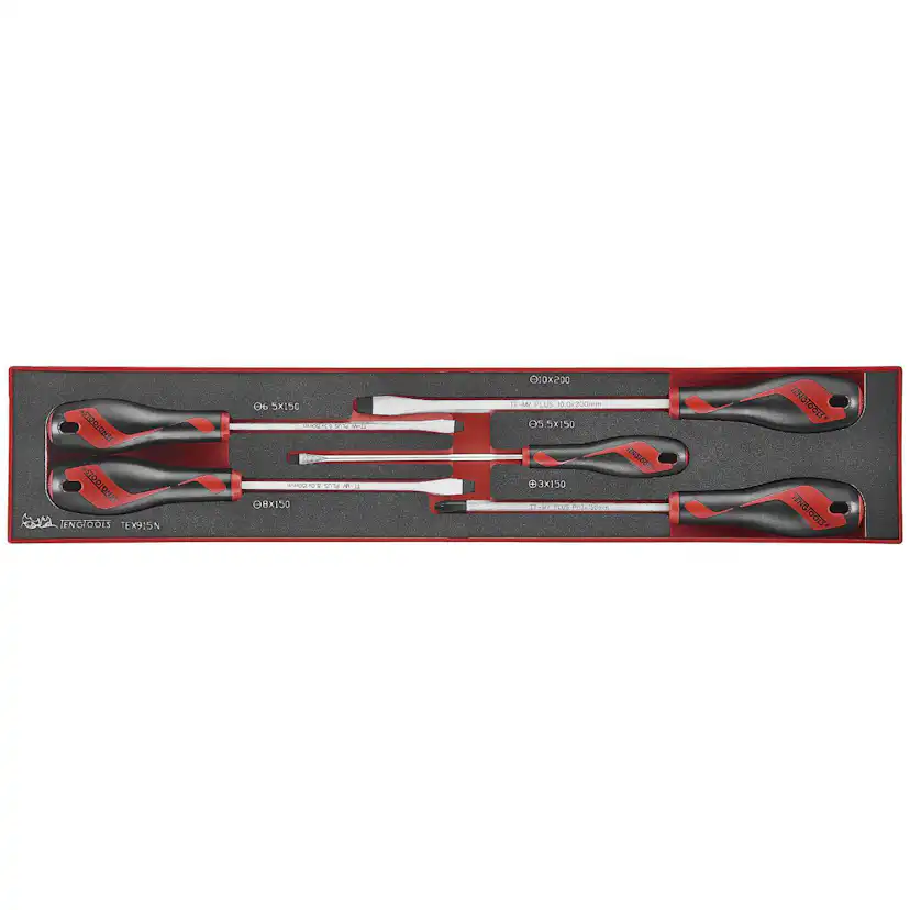 Skruvmejselsats 5 delar Teng Tools TEX915N