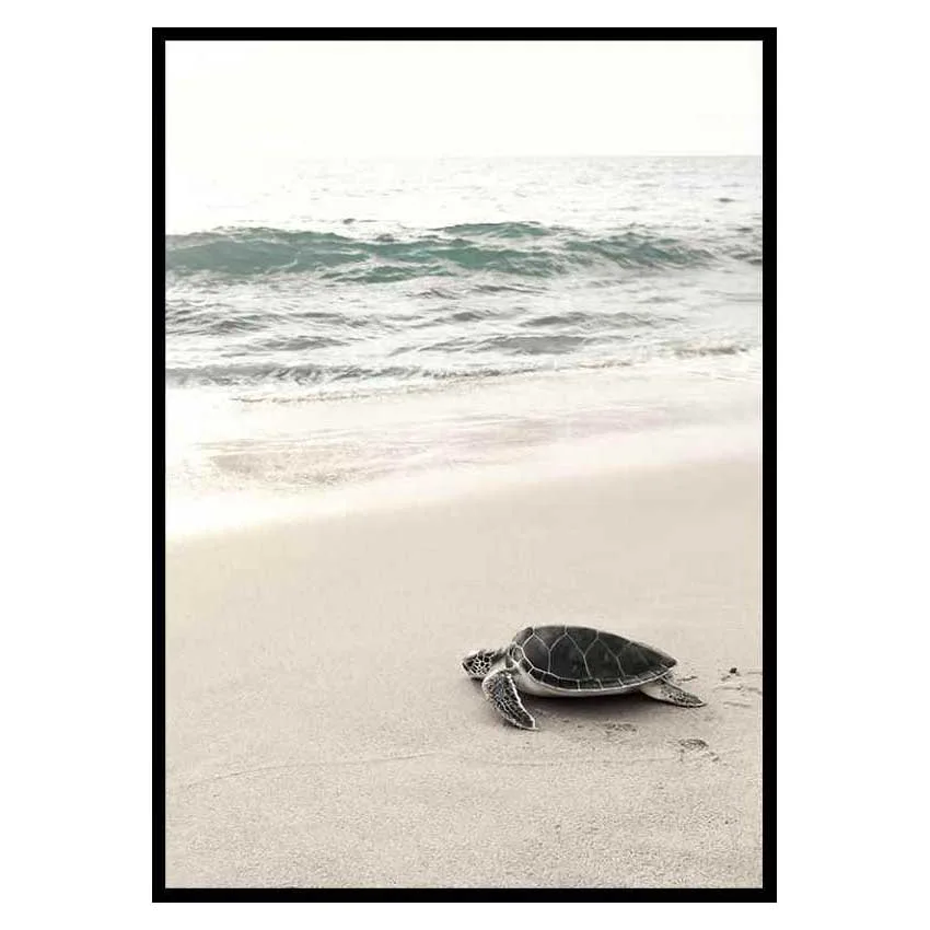 Poster Gallerix Sea Turtle On Beach
