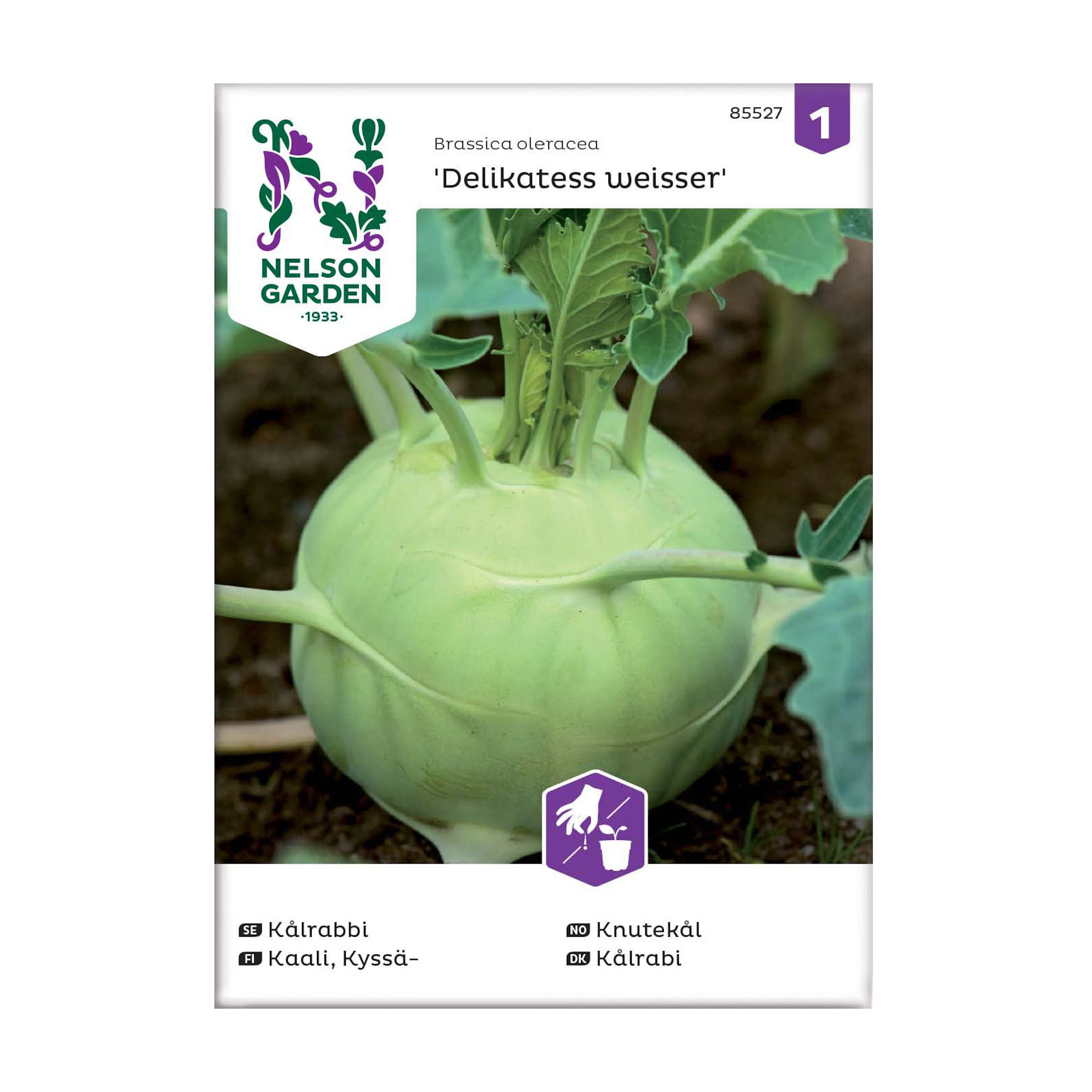 Frö Kålrabbi Nelson Garden Delikatess Weisser