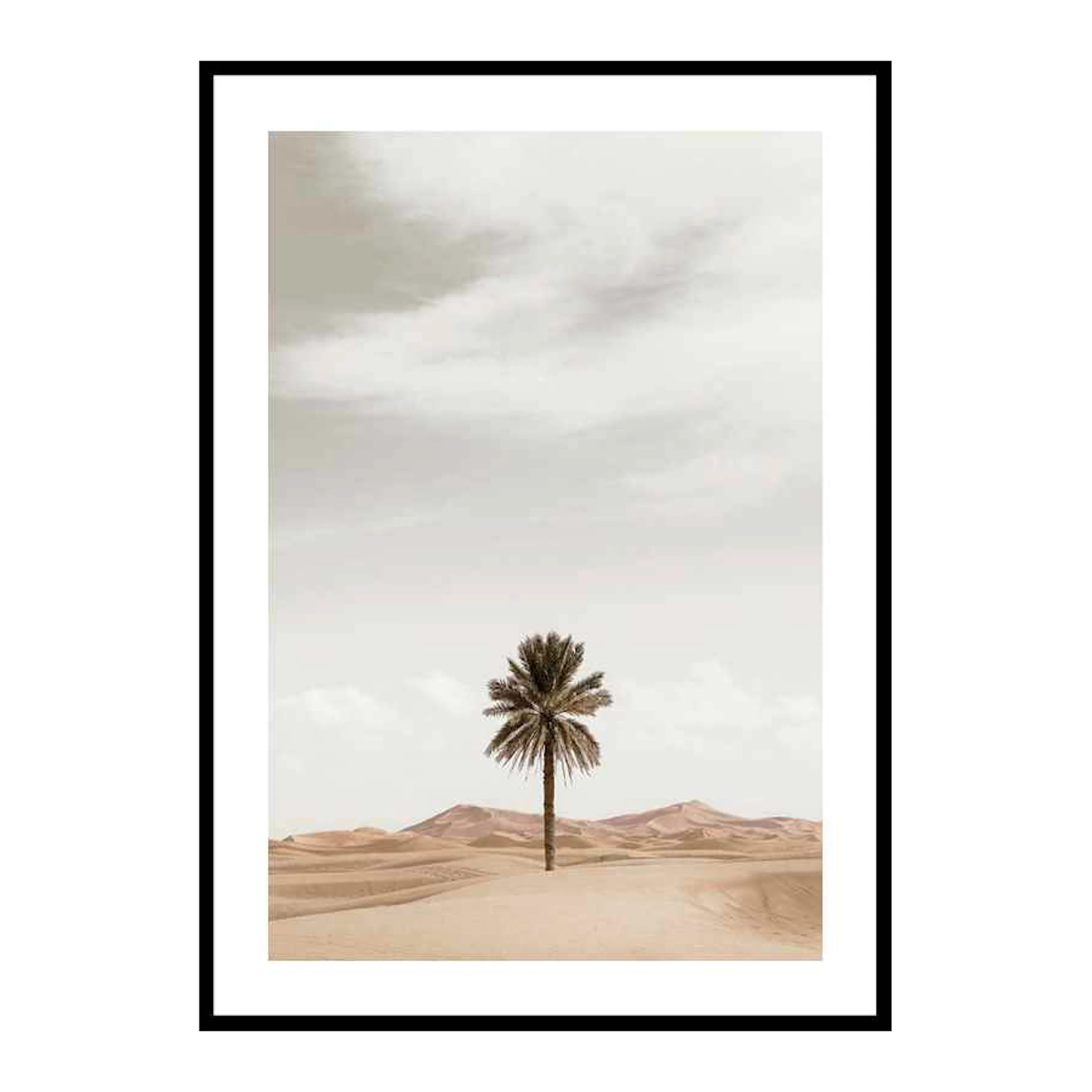 Palm Tree In Desert 30x40 cm