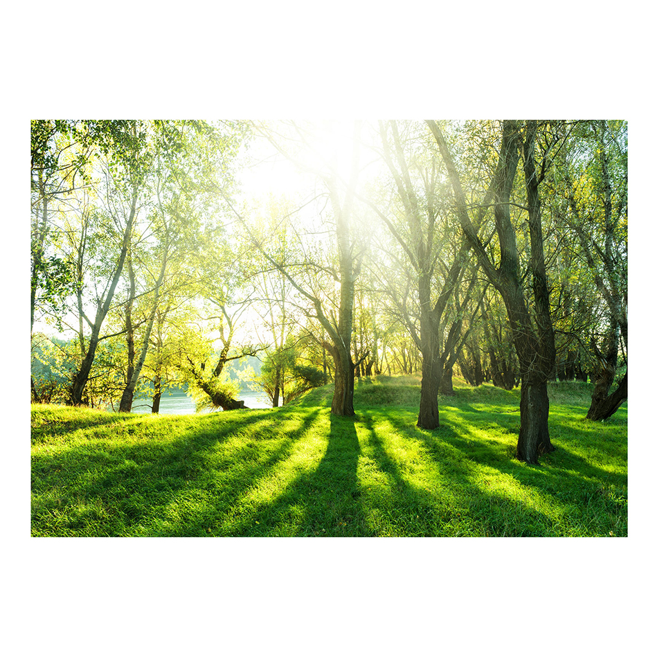 Fototapet Arkiio Sunny May Day