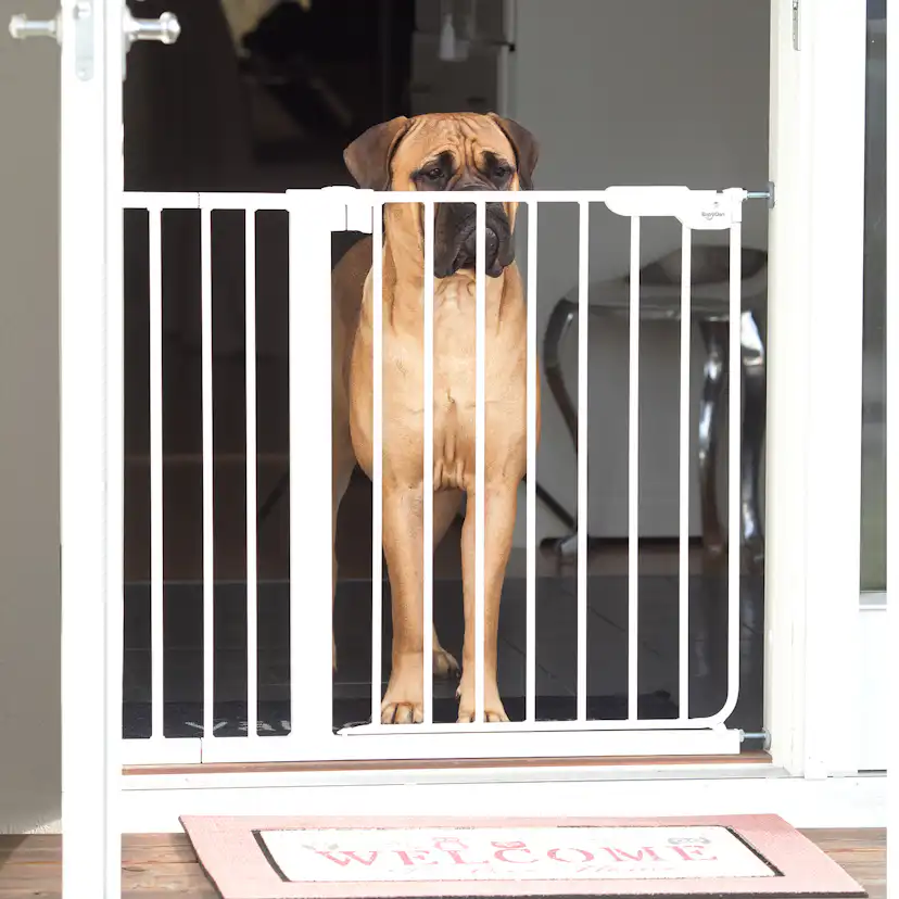 Trappgrind Lundbergs Trofast Vit