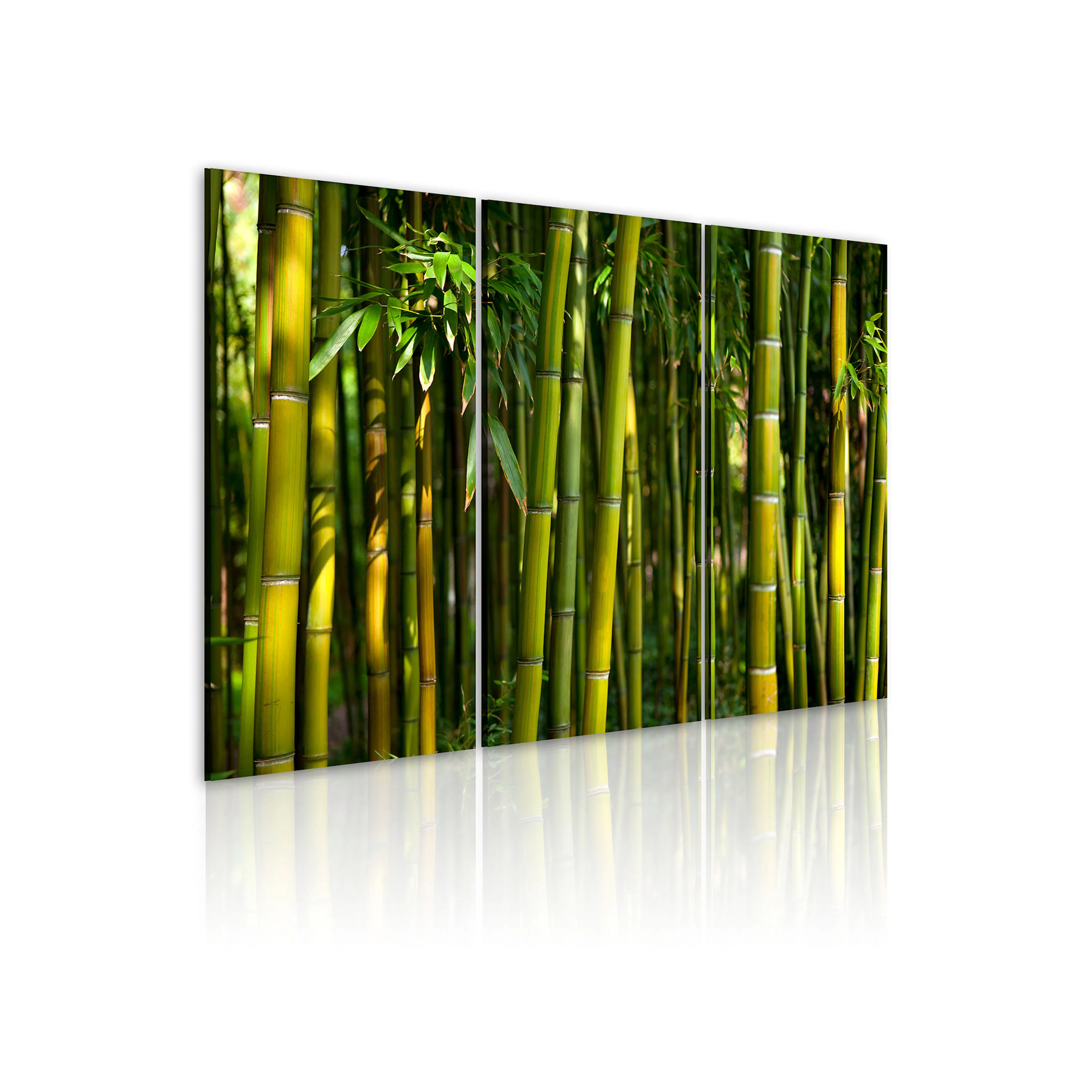 Tavla Arkiio Green Bamboo 60x40