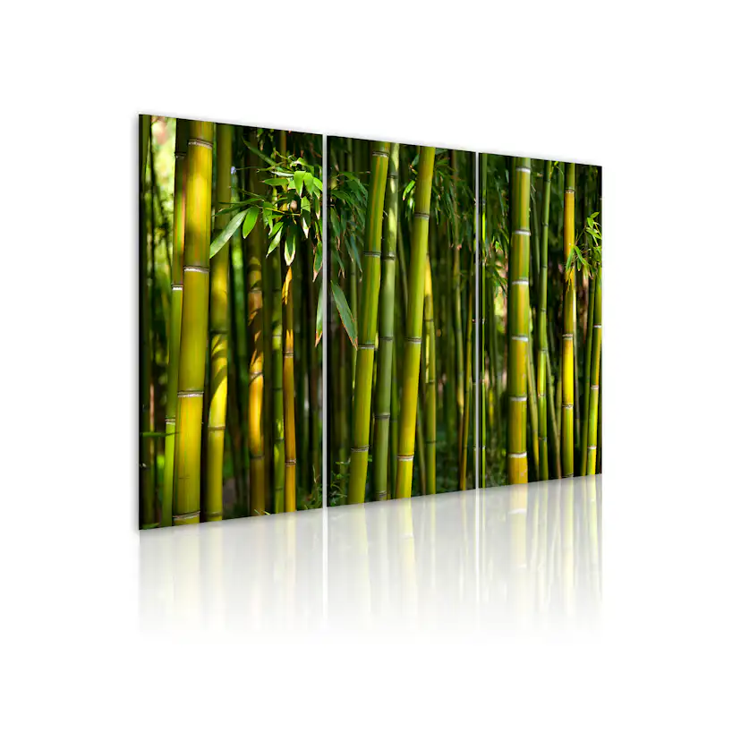 Tavla Arkiio Green Bamboo 60x40