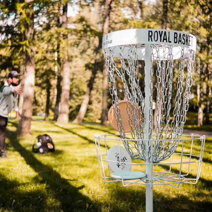 Frisbeegolfkorg Viking Discs Royal Basket Stålkorg Vit