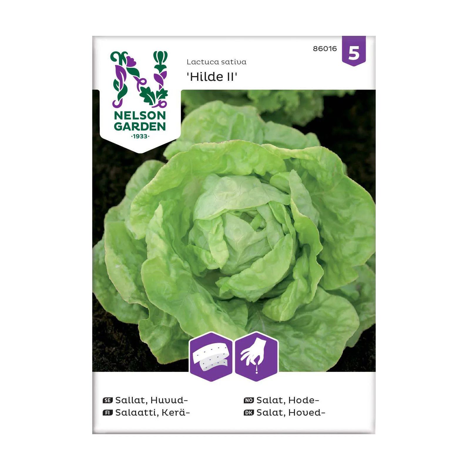 Frö Huvudsallat Nelson Garden Hilde II Såband