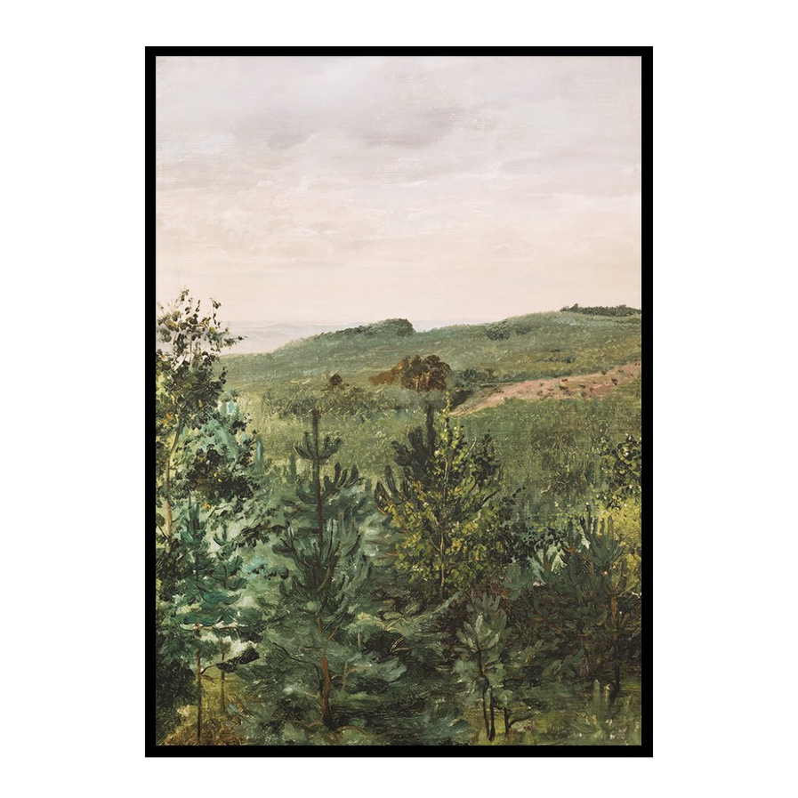 Poster Gallerix Spruce Saplings in Sandy Soil Study By Werner Holmberg