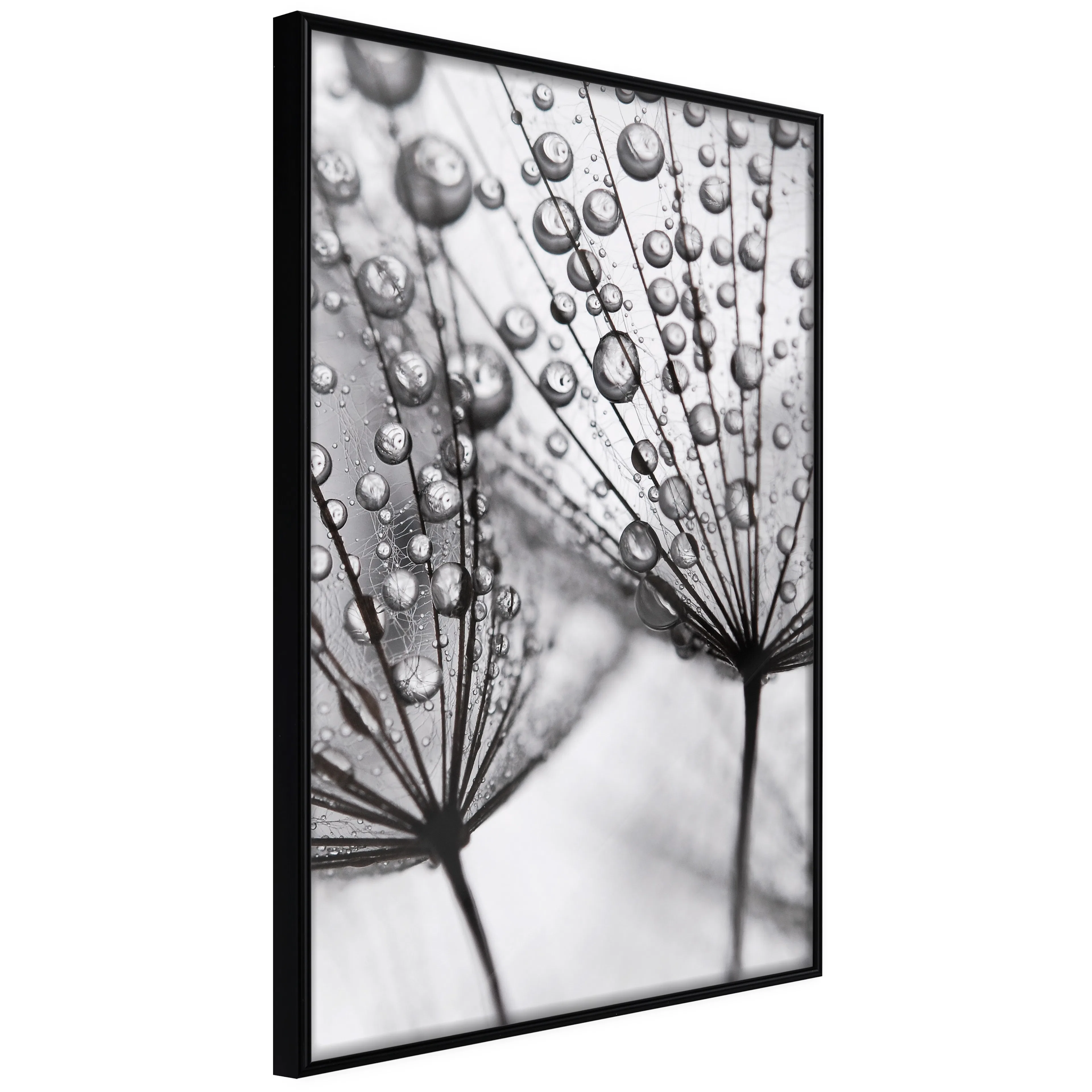 Poster Artgeist Affisch Morning Dew