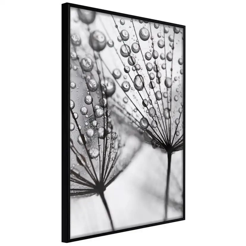 Poster Artgeist Affisch Morning Dew