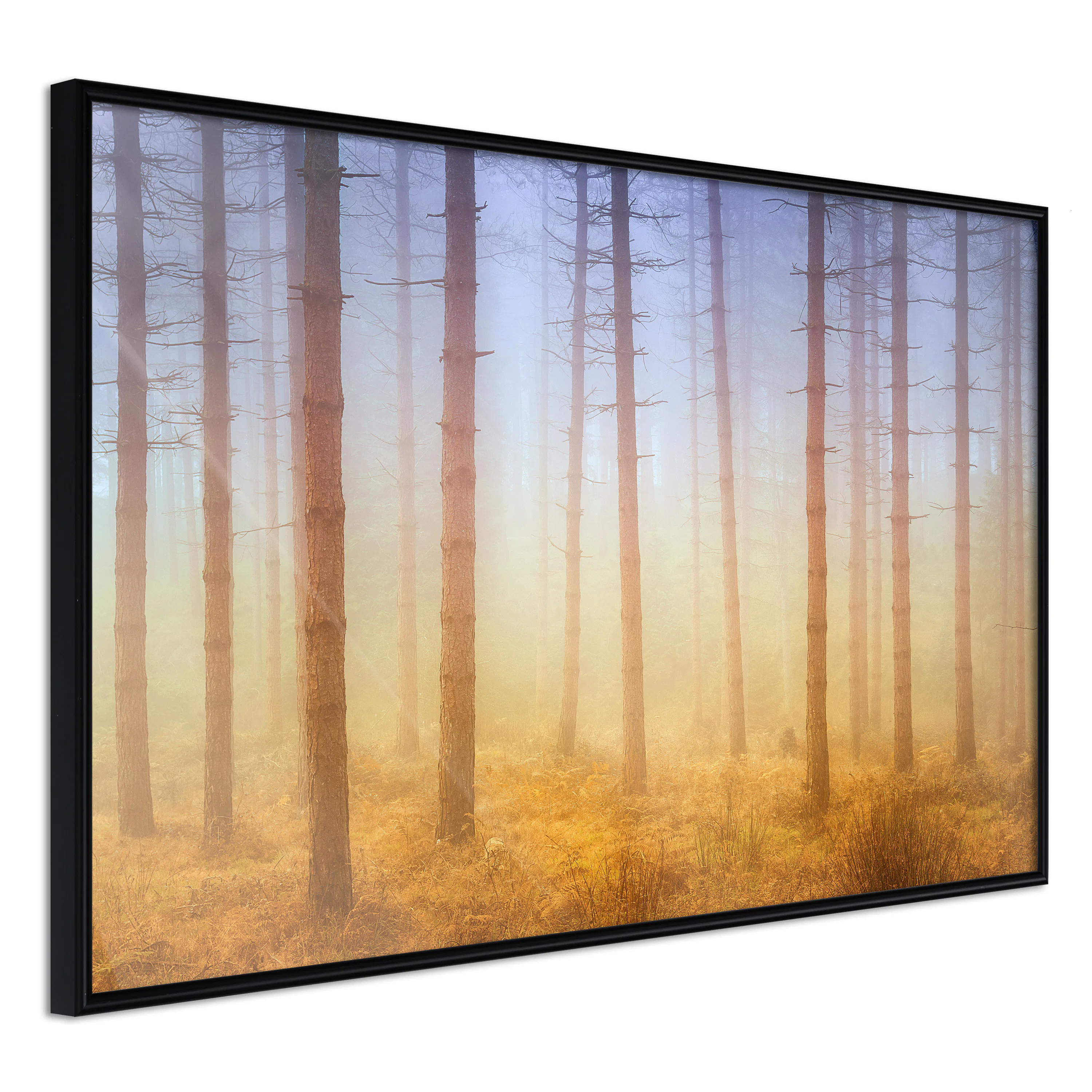 Poster Artgeist Affisch Foggy Forest