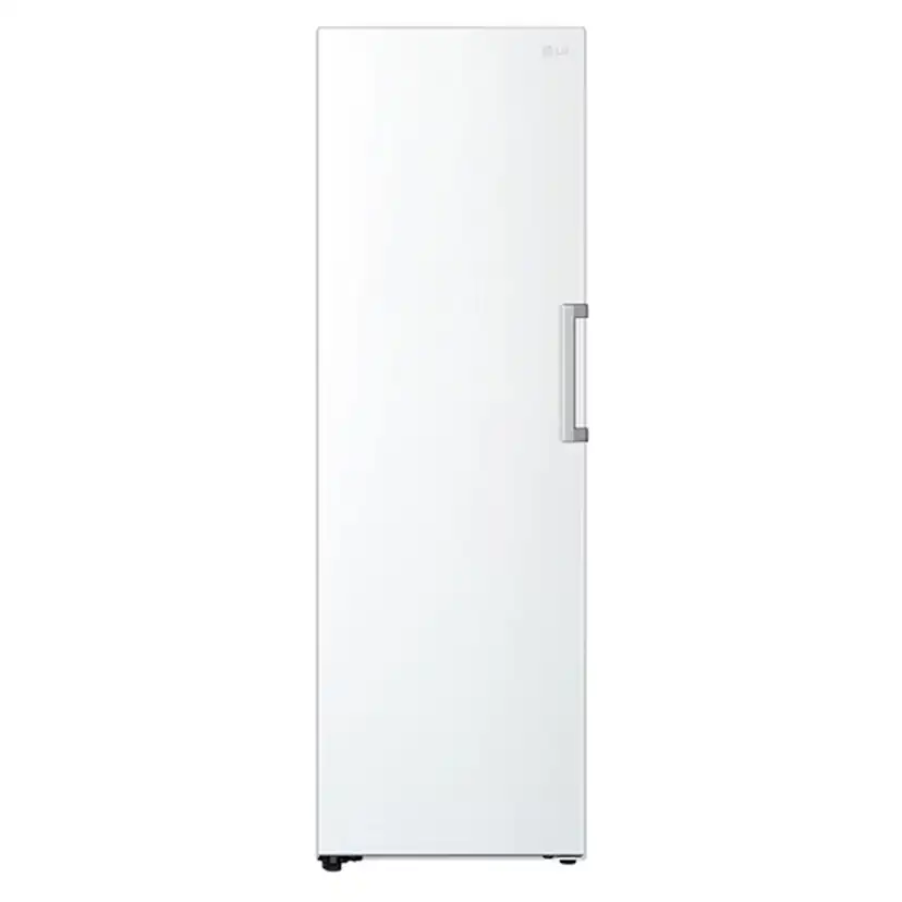 Frys LG GFT41SWGSZ