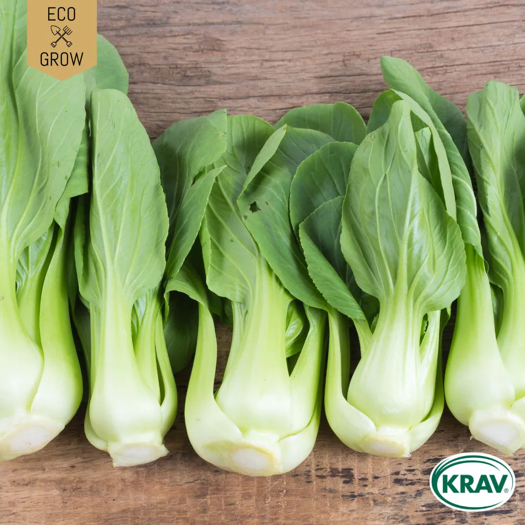 Fröpåse Eco Grow Pak Choi