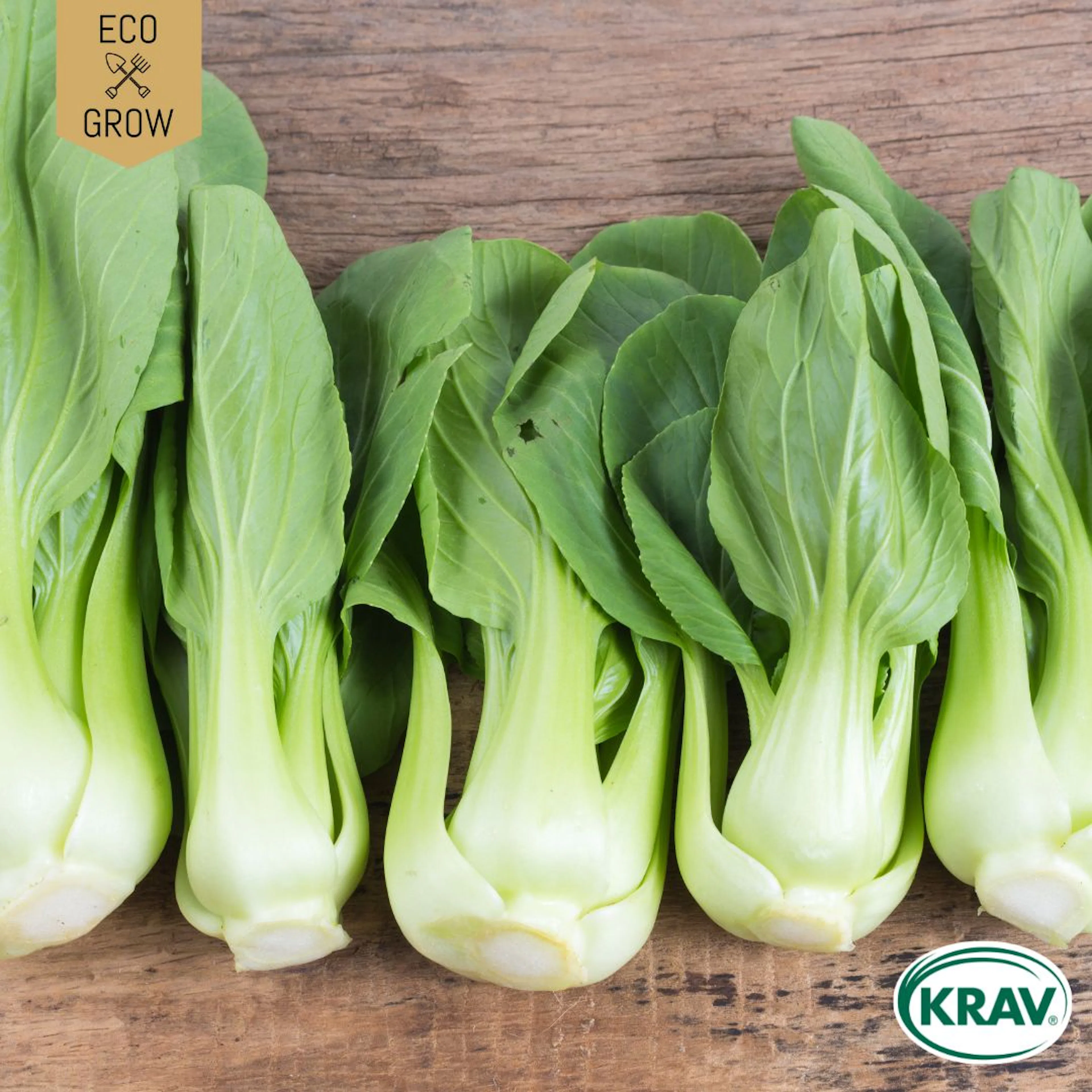 Fröpåse Eco Grow Pak Choi