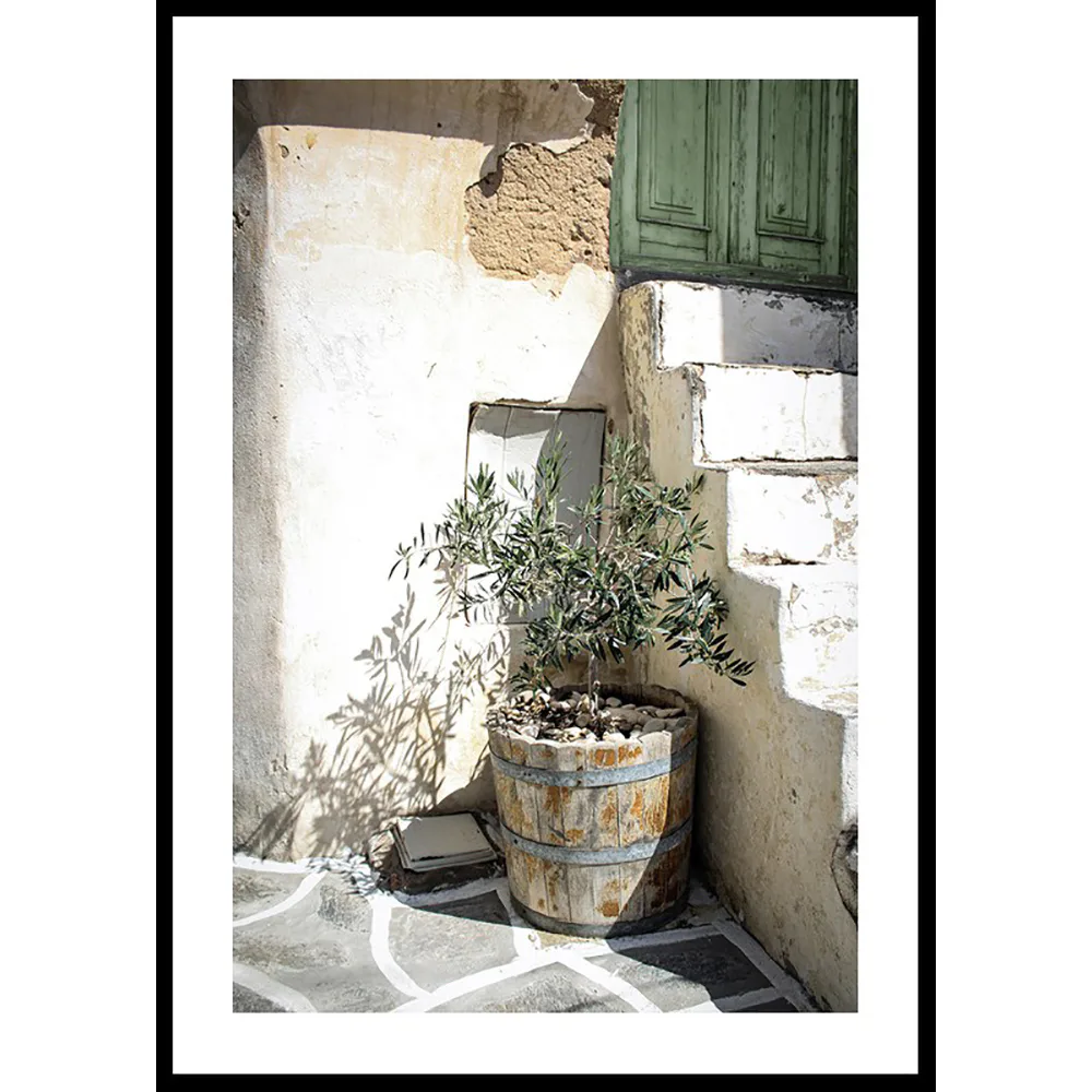 Poster Gallerix Olive Tree Entrance