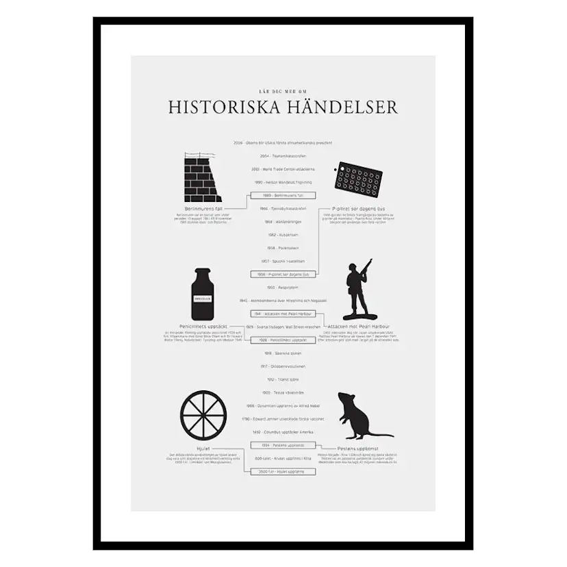 Poster Gallerix Historiska Händelser