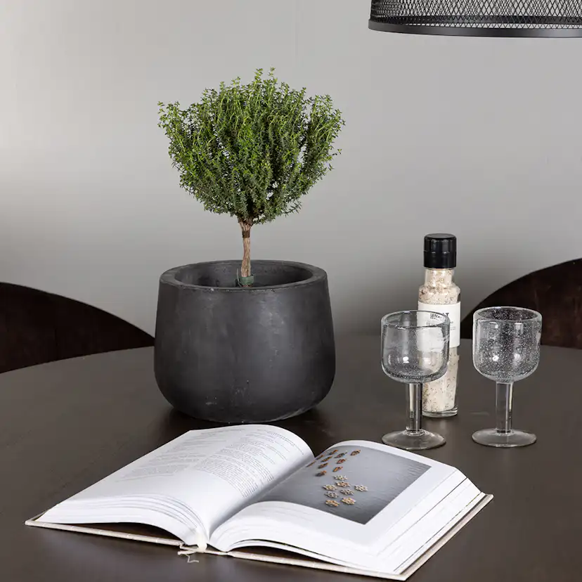 Matgrupp Venture Home Kaseidon Ø100 cm med 4 st Evening stolar