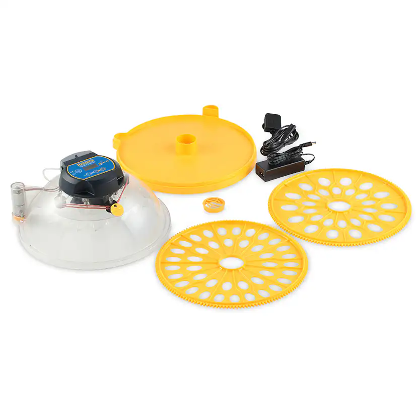 Äggkläckare Brinsea Maxi II EX