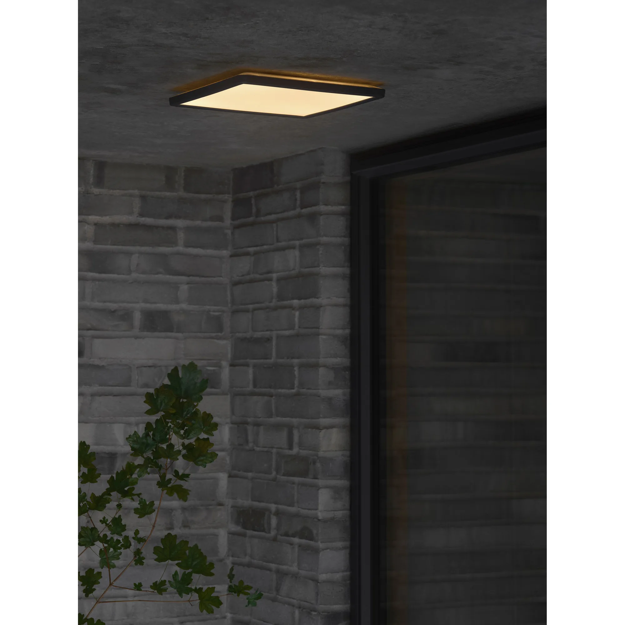 Plafond Nordlux Oja 29 Square Utebelysning IP54