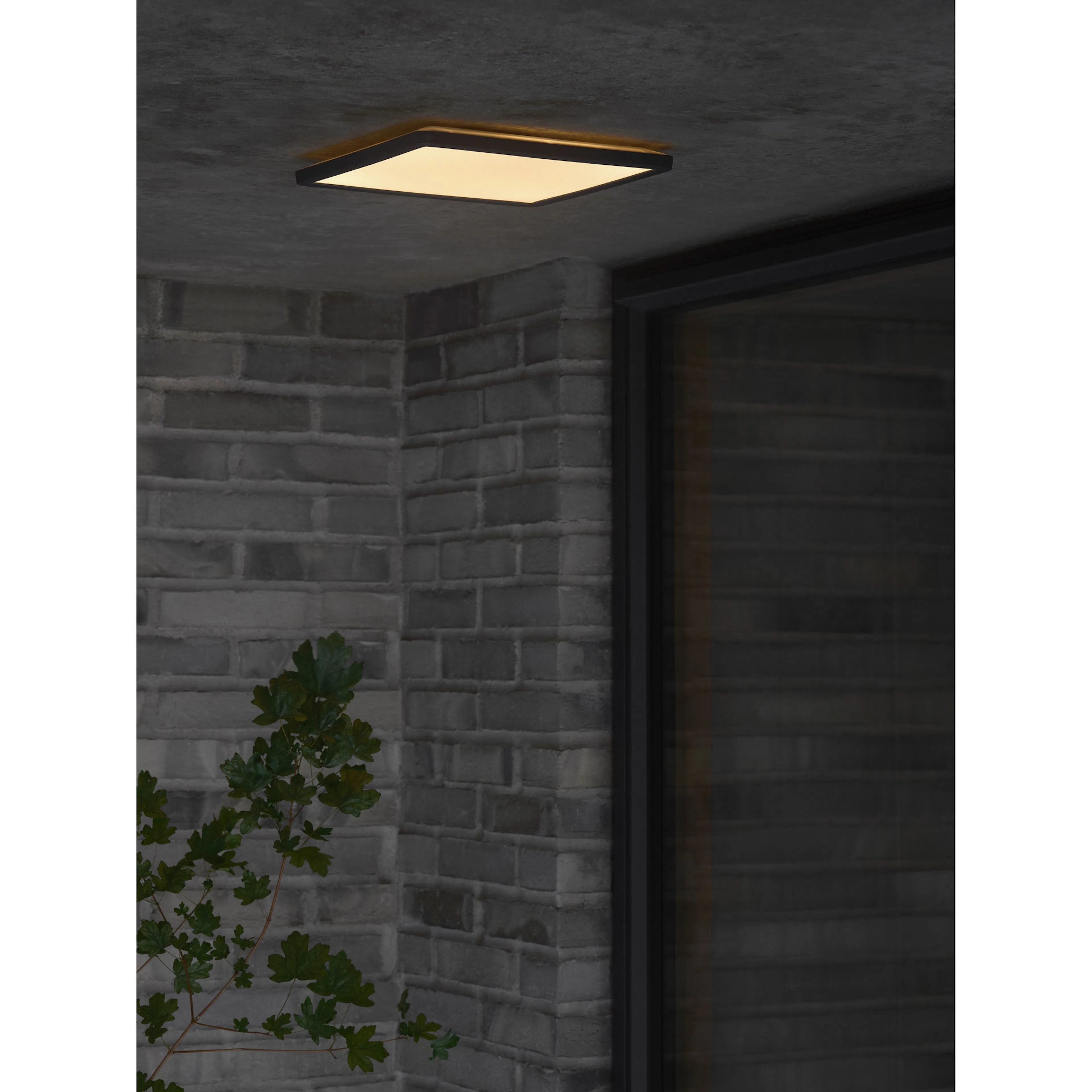 Plafond Nordlux Oja 29 Square Utebelysning IP54