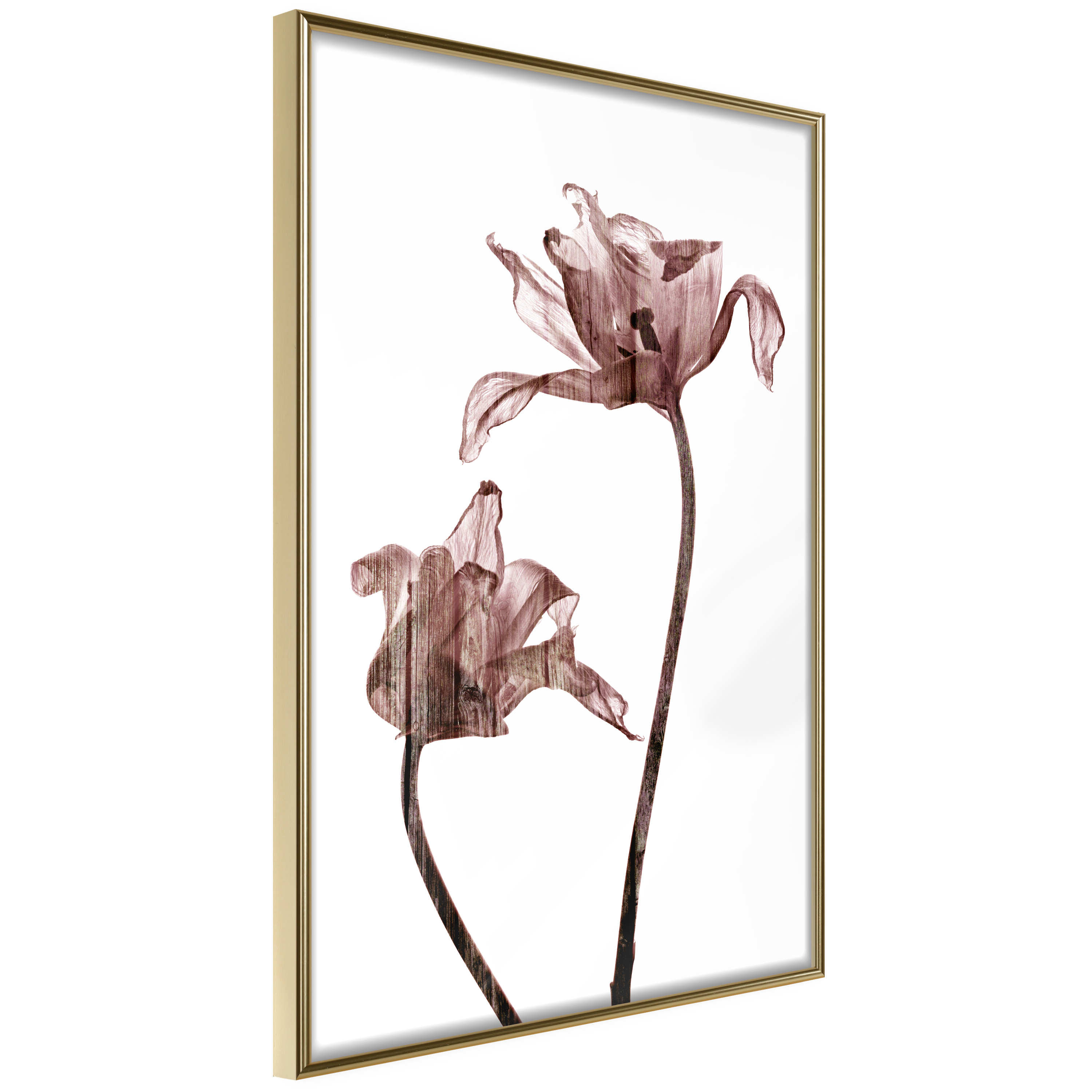 Affisch - Illuminated Closeness [Poster] 20x30 Guld ram, 20x30 cm