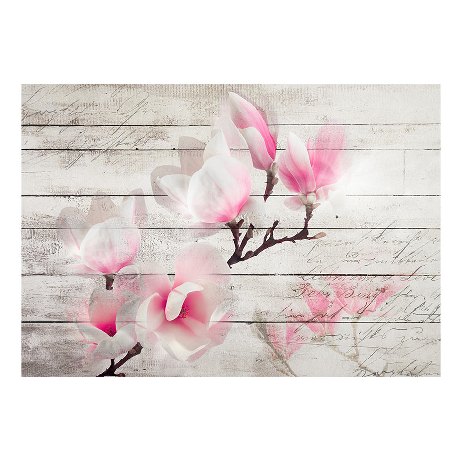 Gentleness of the Magnolia 250x175 Storlek: 250x175 cm