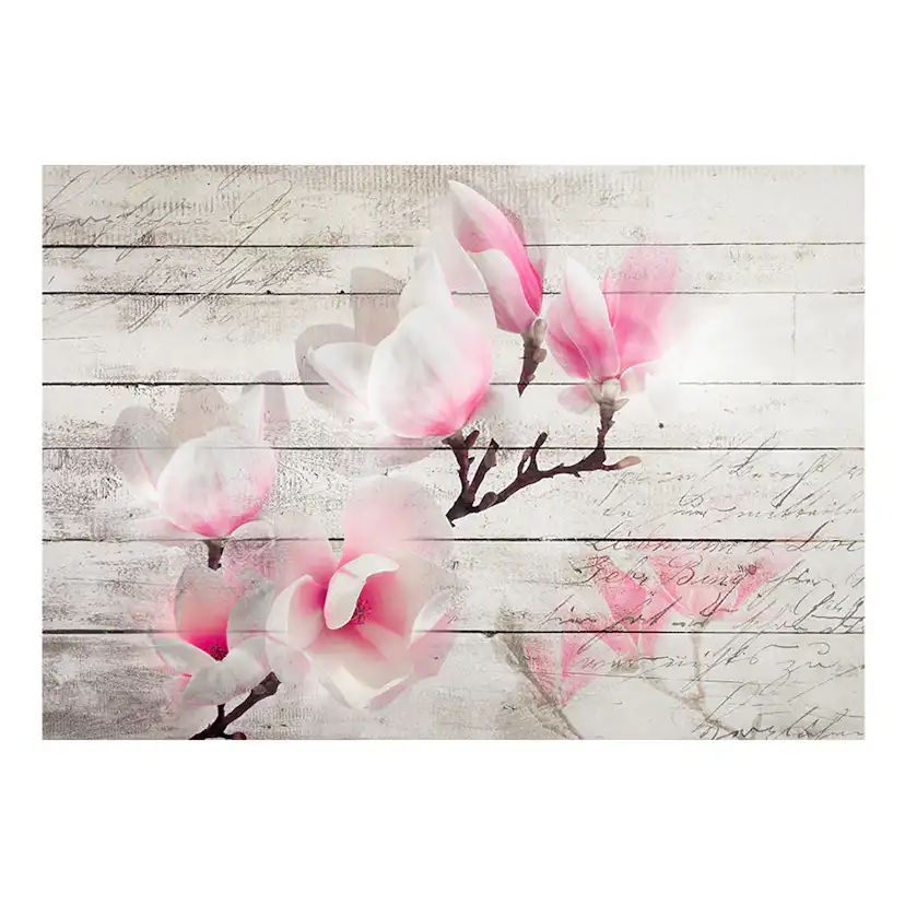 Gentleness of the Magnolia 250x175 Storlek: 250x175 cm